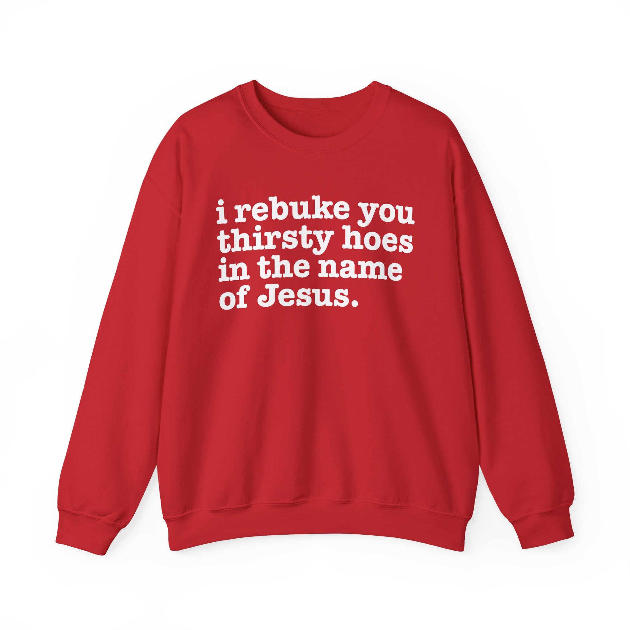 I Rebuke You Thirsty Hoes in the Name of Jesus — Christian Humor Sweatshirt