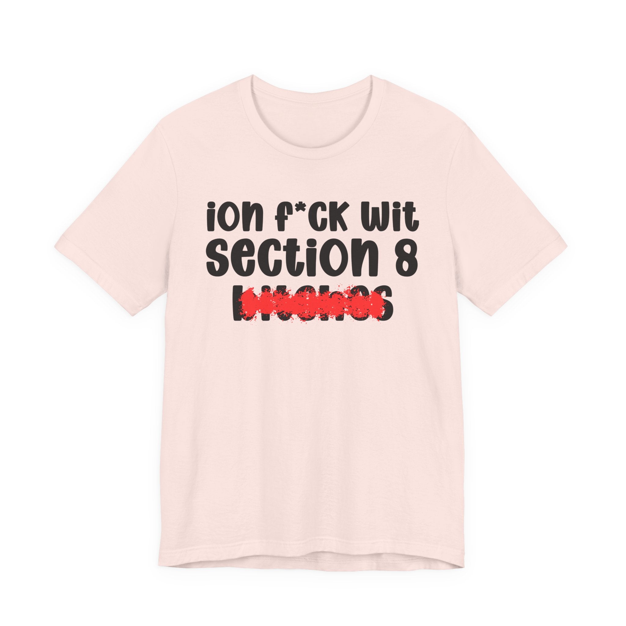 ION (I Don't) FUCK WIT SECTION 8 BITCHES — Bold Sarcastic Graphic T-Shirt