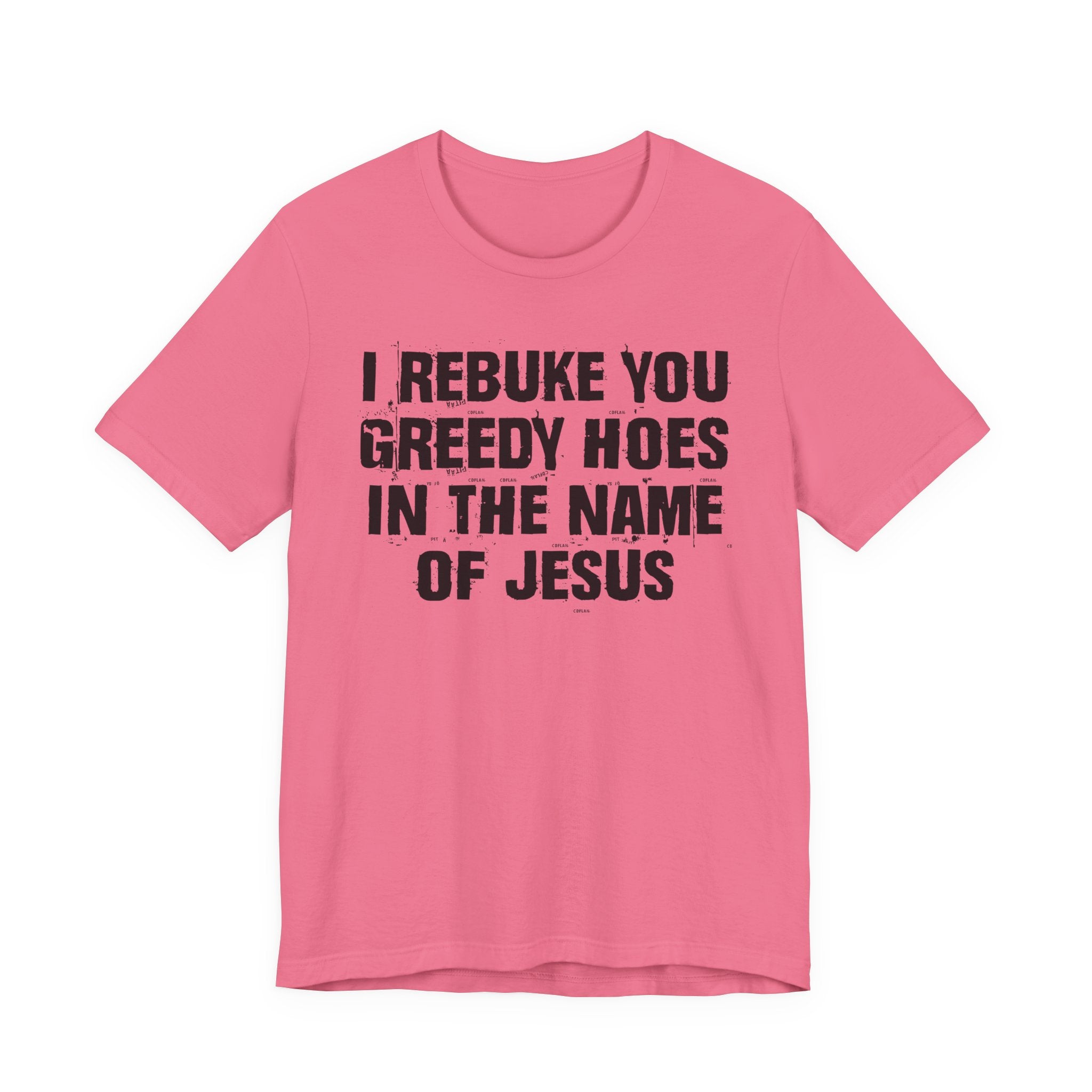 I Rebuke You Greedy Hoes in the Name of Jesus — Christian Humor T-Shirt