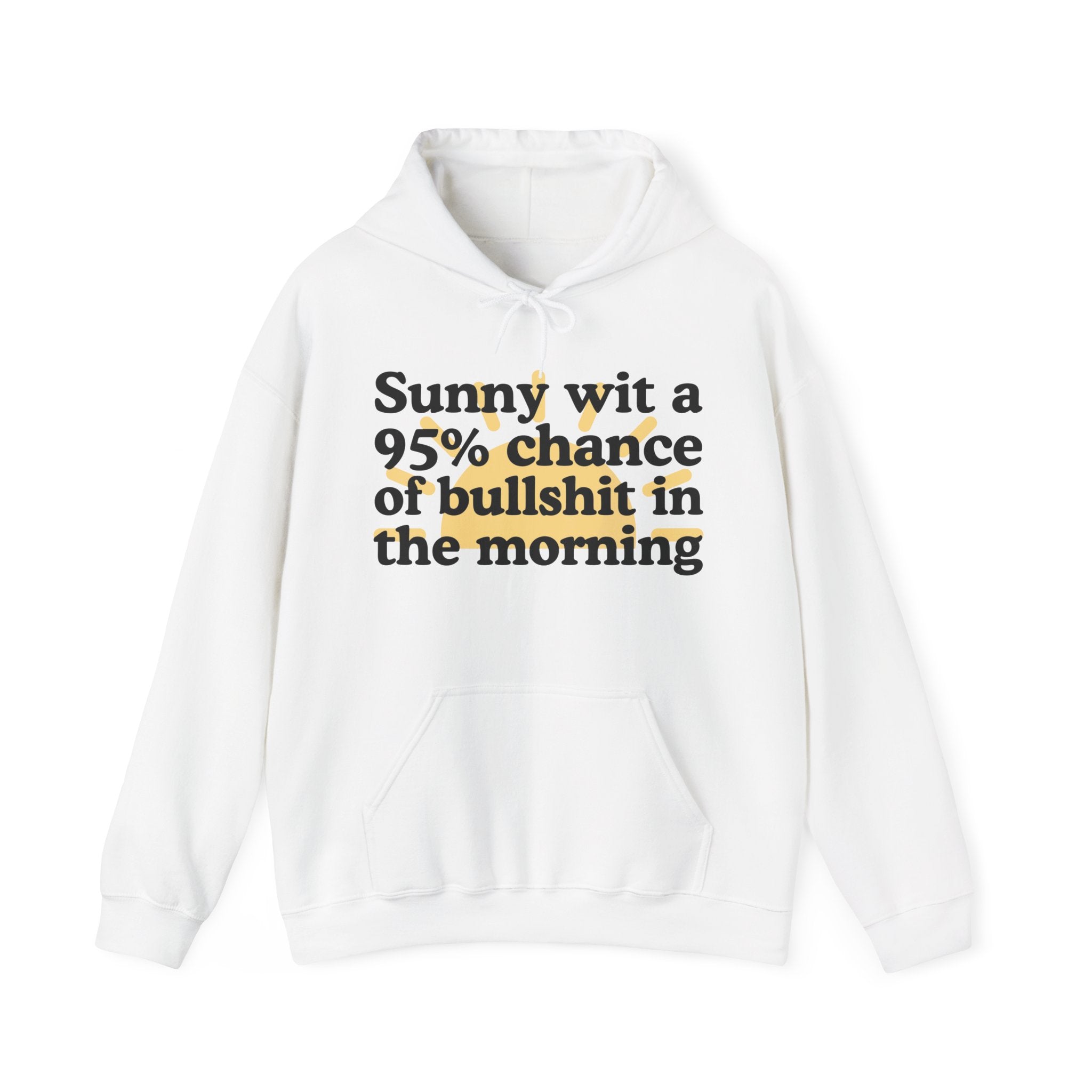 Sunny wit a 95% chance of bullshit in the Morning —  Funny Weather Forecast Hoodie