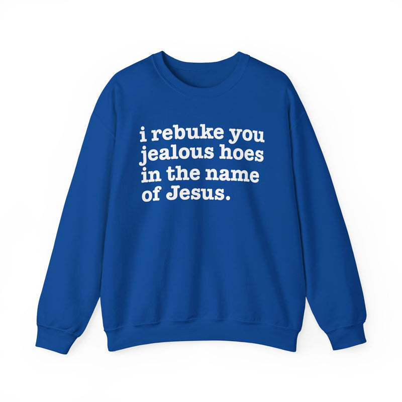 I Rebuke You Jealous Hoes In The Name Of Jesus