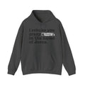 I rebuke you Crazy Bitches in the name of Jesus - Sarcastic Christian Hoodie