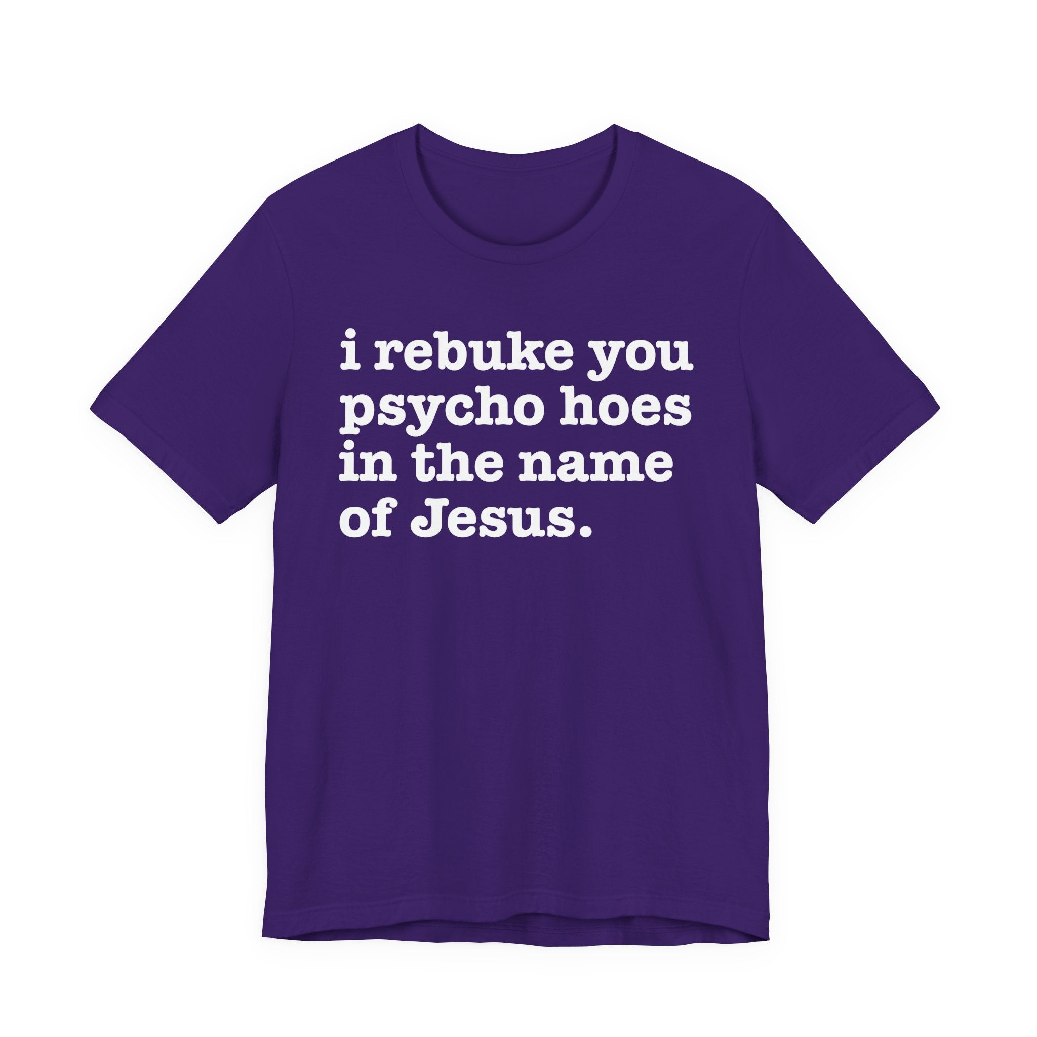 I Rebuke You Psycho Hoes in the Name of Jesus — Christian Humor T-Shirt