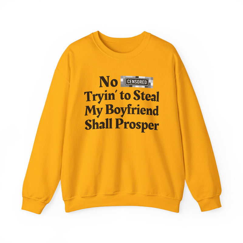 No Bitch Trying To Steal My Boyfriend Shall Prosper — Sweatshirt