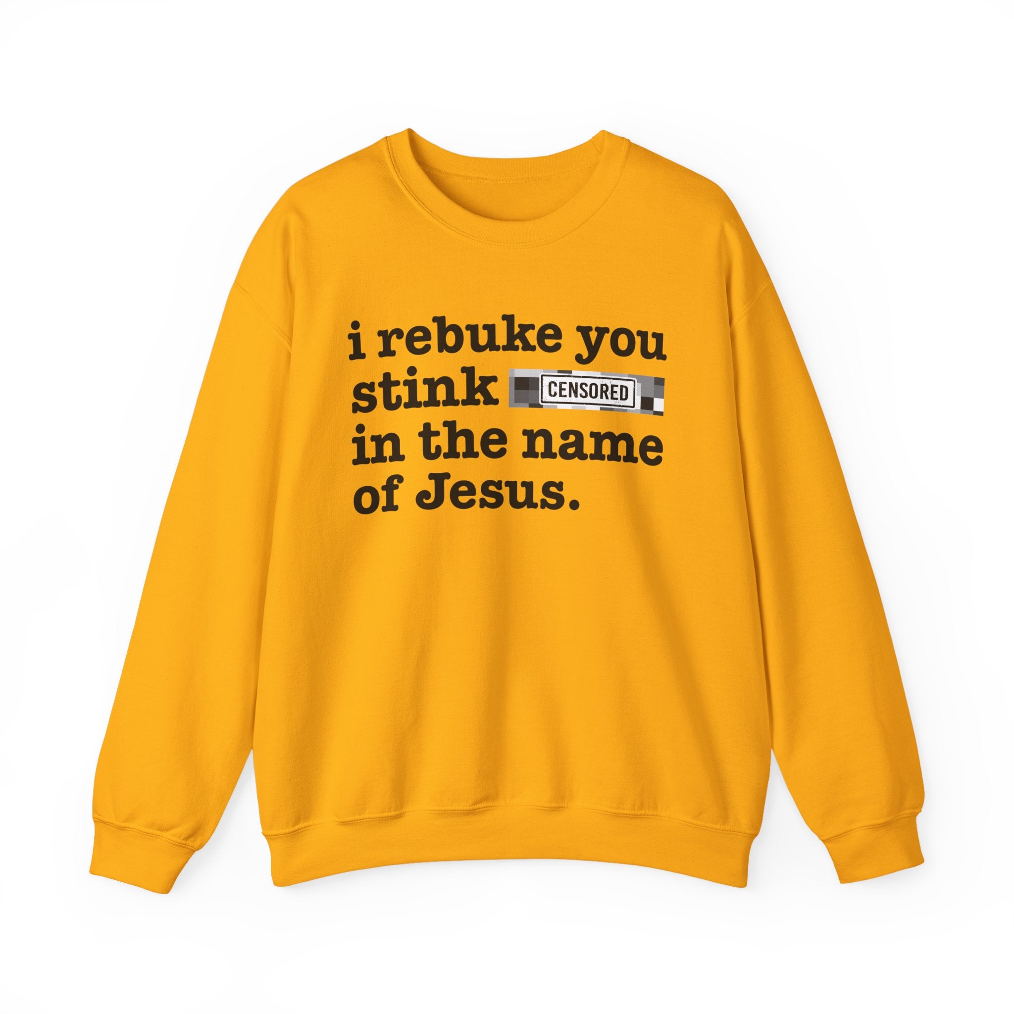 I rebuke you Stink Bitches in the name of Jesus — Provocative Christian Sweatshirt