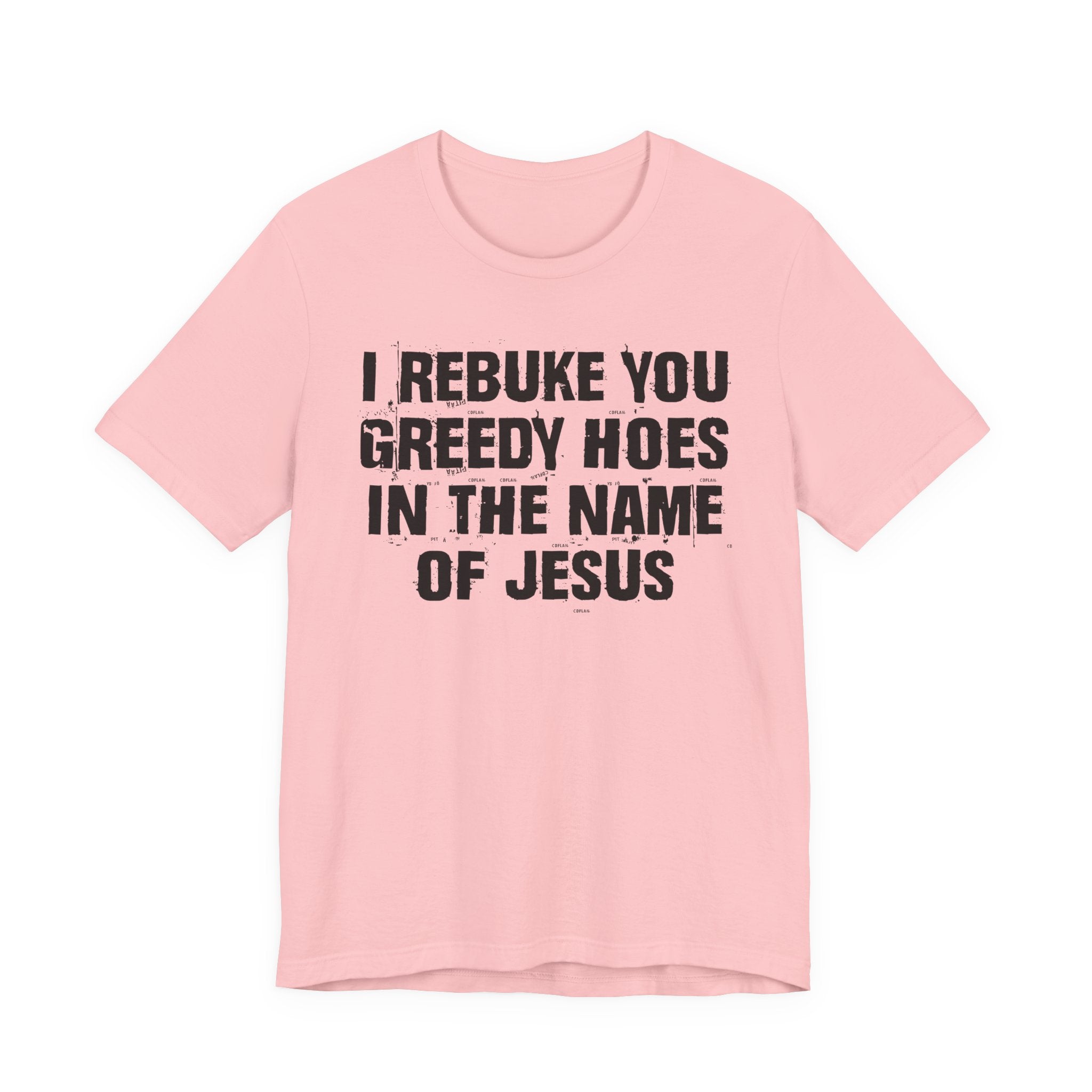 I Rebuke You Greedy Hoes in the Name of Jesus — Christian Humor T-Shirt