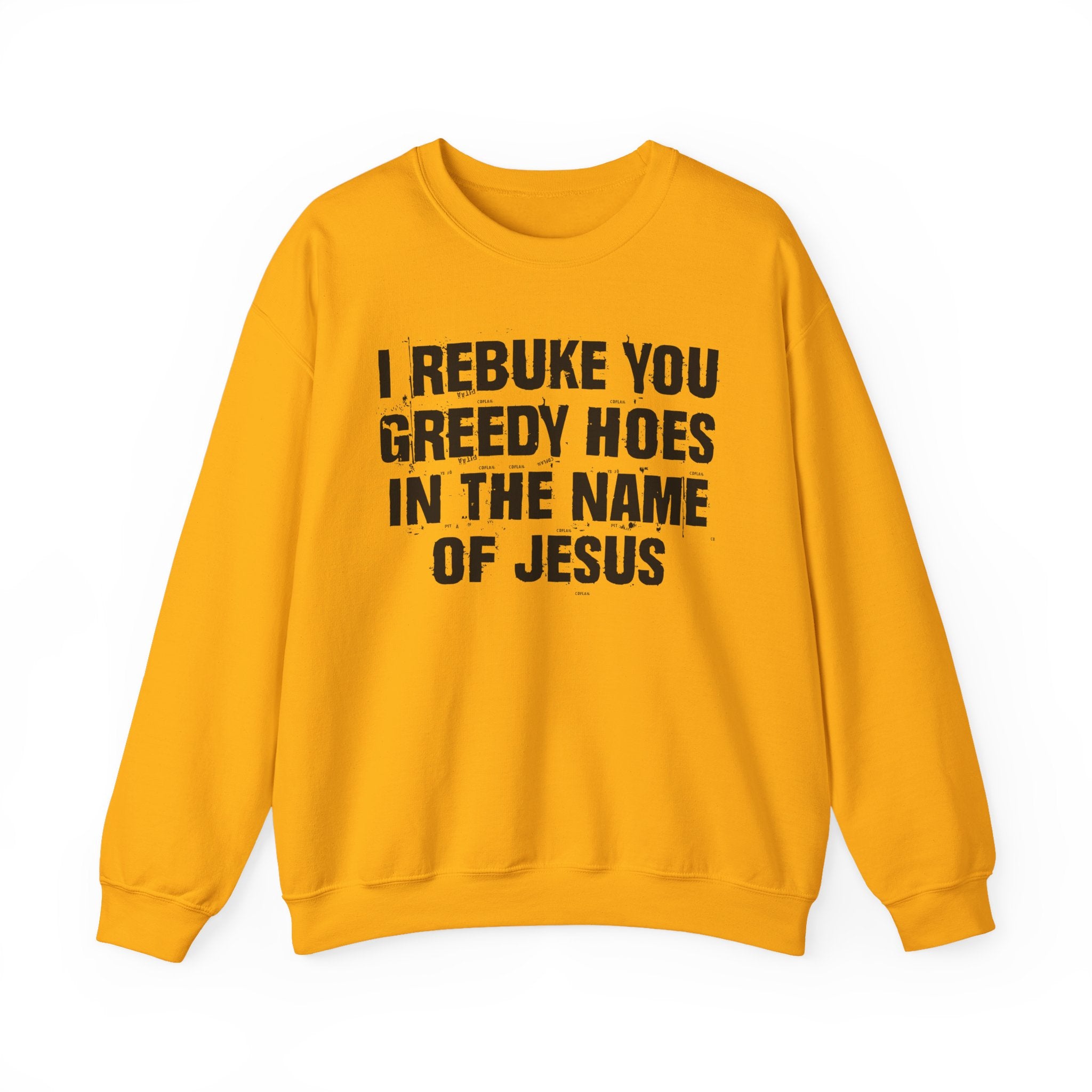 I Rebuke You Greedy Hoes in the Name of Jesus — Christian Humor Sweatshirt