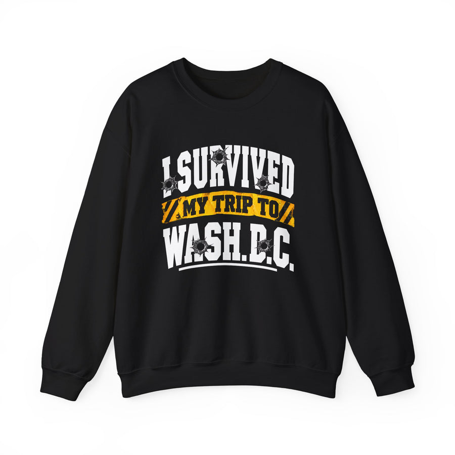 Sweatshirt product with collegiate lettering reading I SURVIVED MY TRIP TO WASH D.C, front view.
