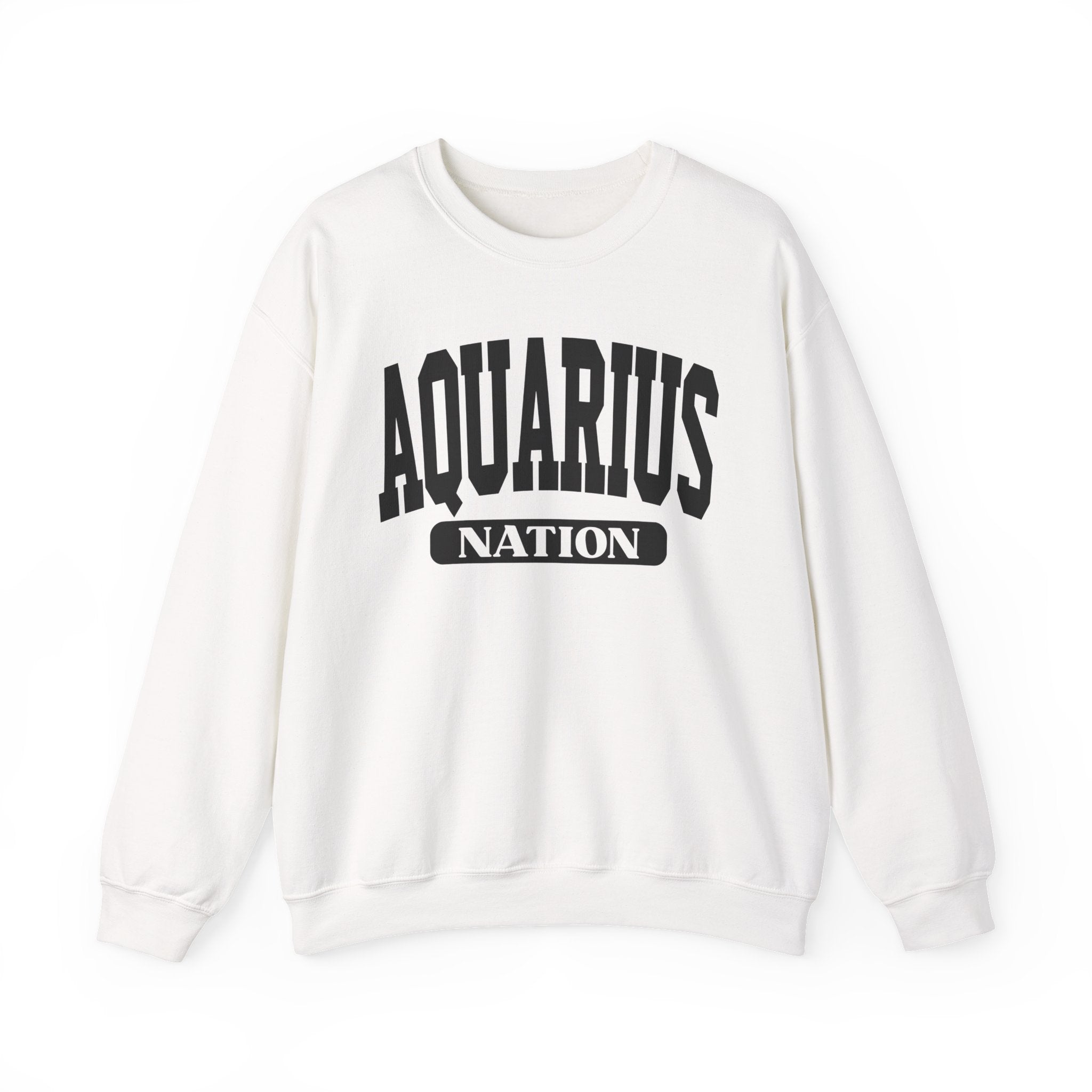 Aquarius Nation — Zodiac Astrology Sweathsirt for Gemini