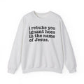 I Rebuke You Ignant Hoes in the Name of Jesus - Christian Humor Sweatshirt
