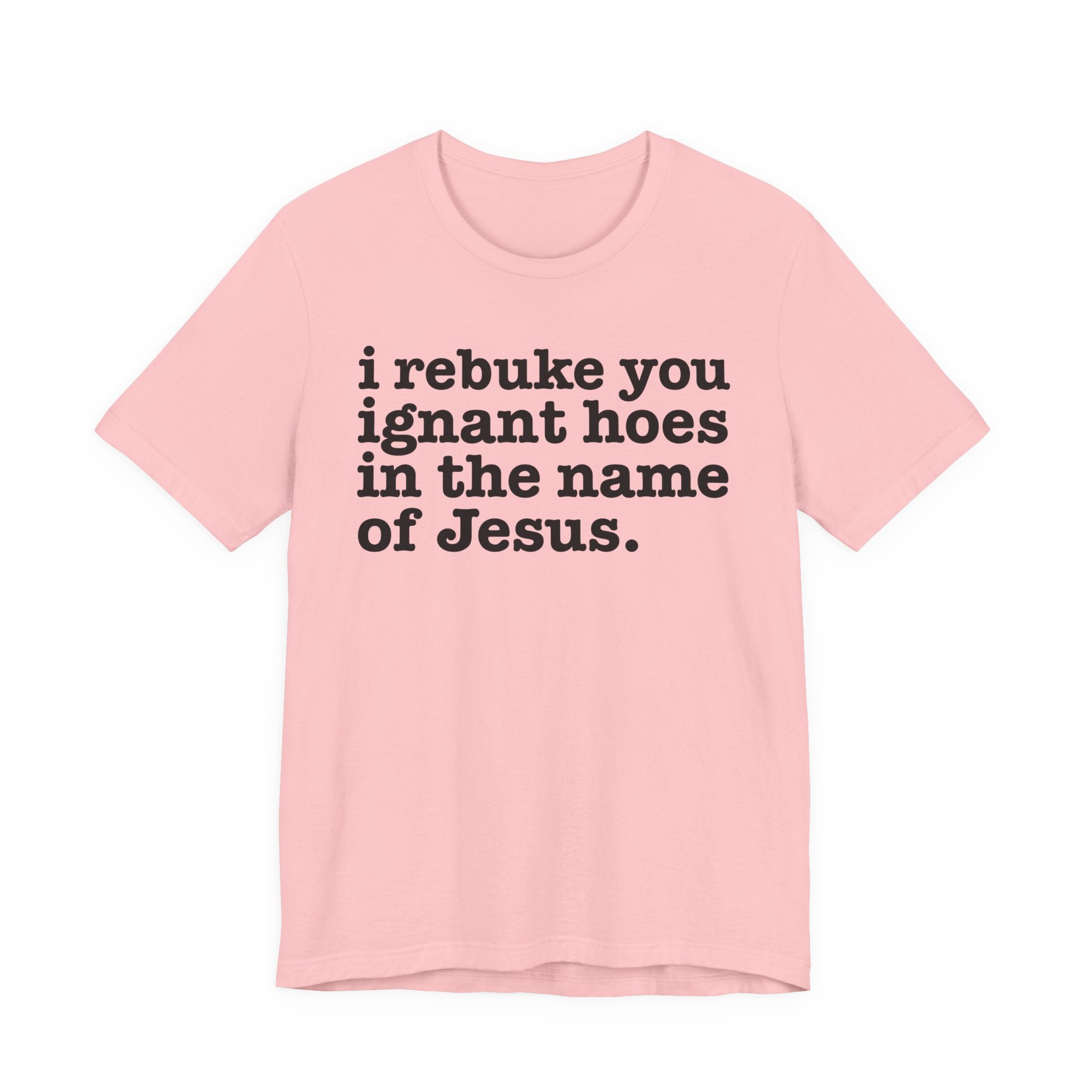 I Rebuke You Ignant Hoes in the Name of Jesus — Christian Humor T-Shirt