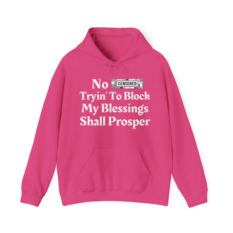 No Bitch Trying To Block My Blessings Shall Prosper — Hoodie