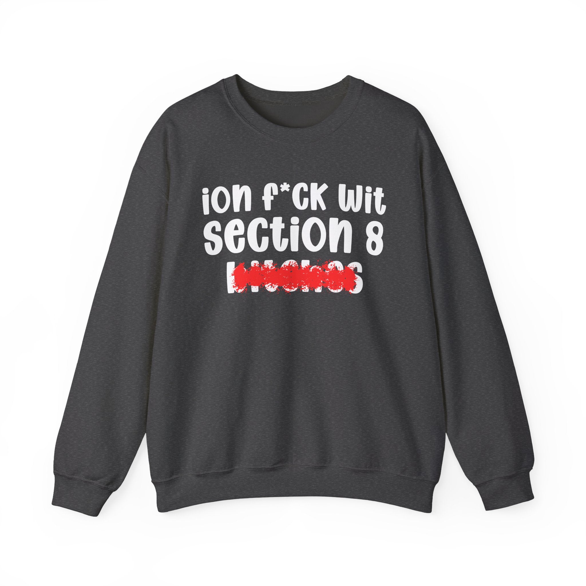 ION (I Don't) FUCK WIT SECTION 8 BITCHES — Bold Sarcastic Sweatshirt