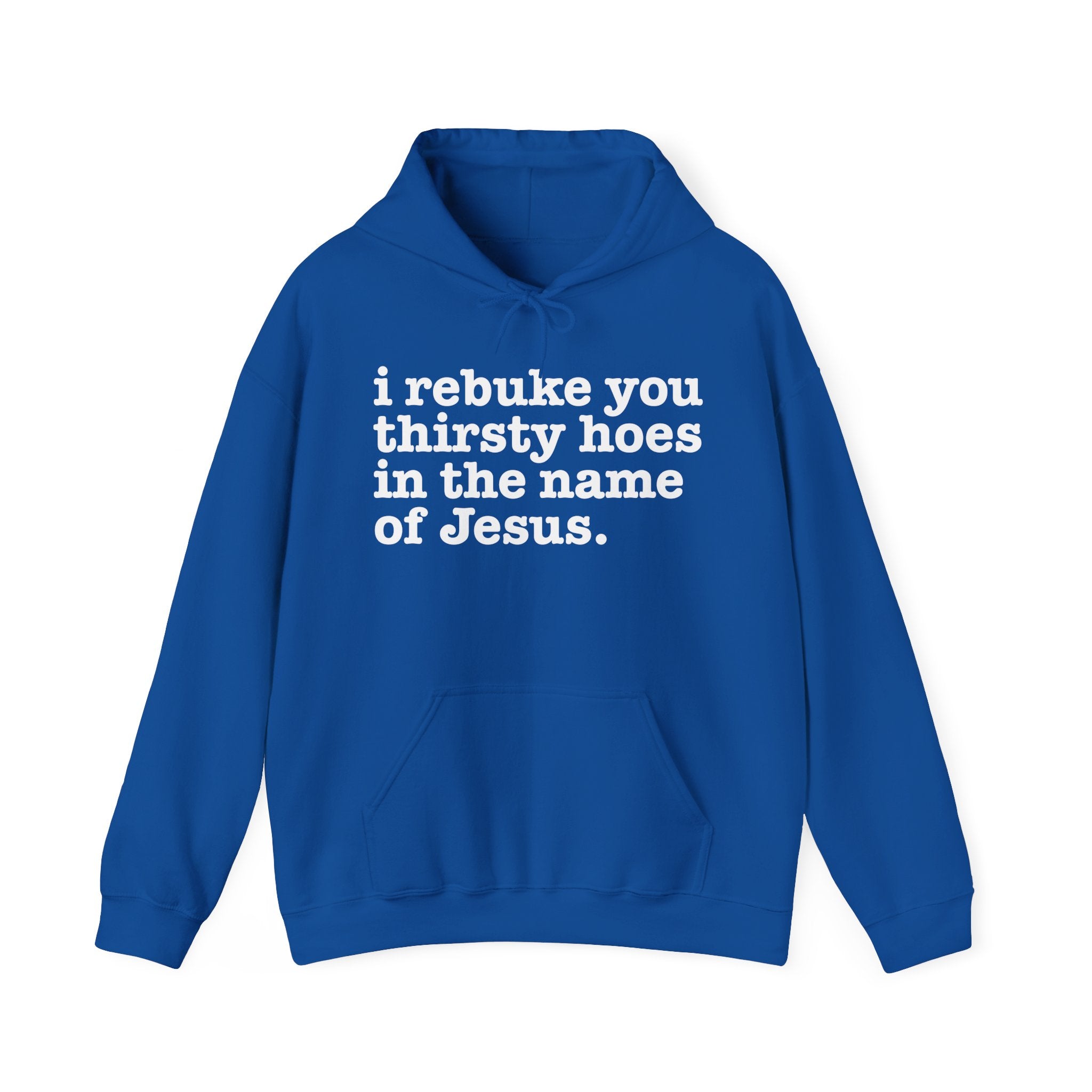 I Rebuke You Thirsty Hoes in the Name of Jesus — Humorous Religious Hoodie