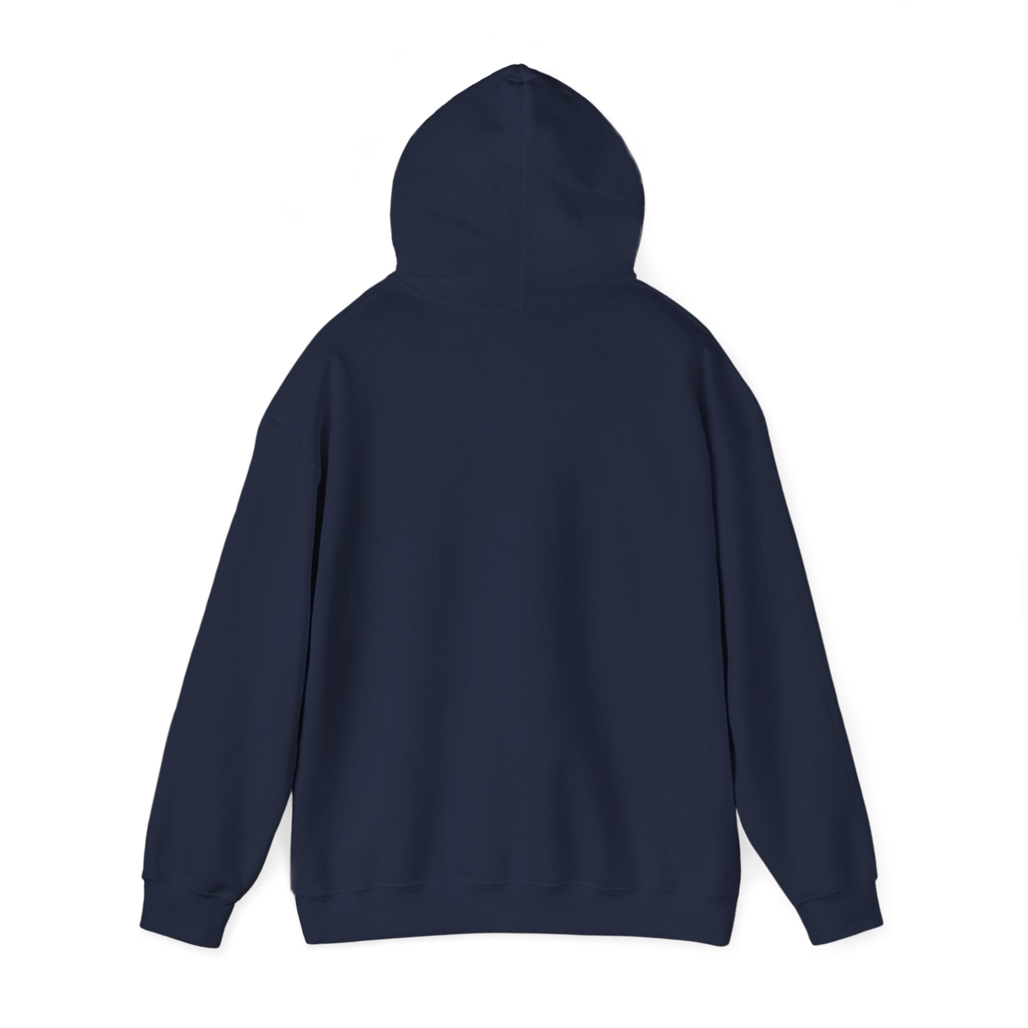 Caution Don't Let This Bougie Shit Fool Ya Ass Hoodie – Funny Warning Graphic Hoodie