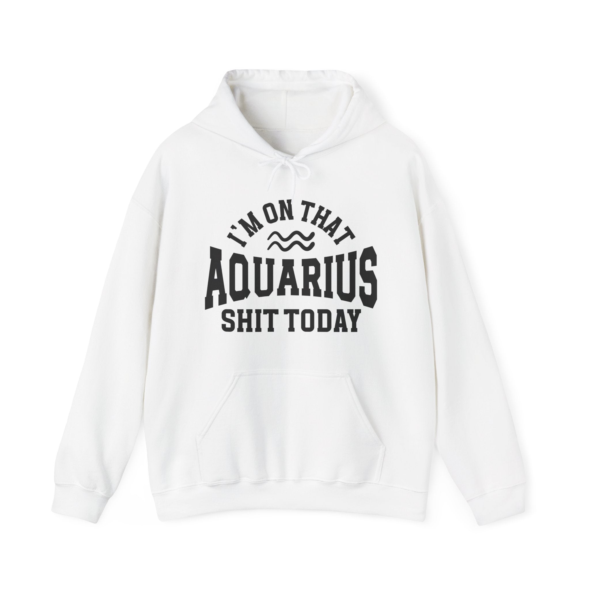 I'm On That Aquarius Shit Today - Hoodie