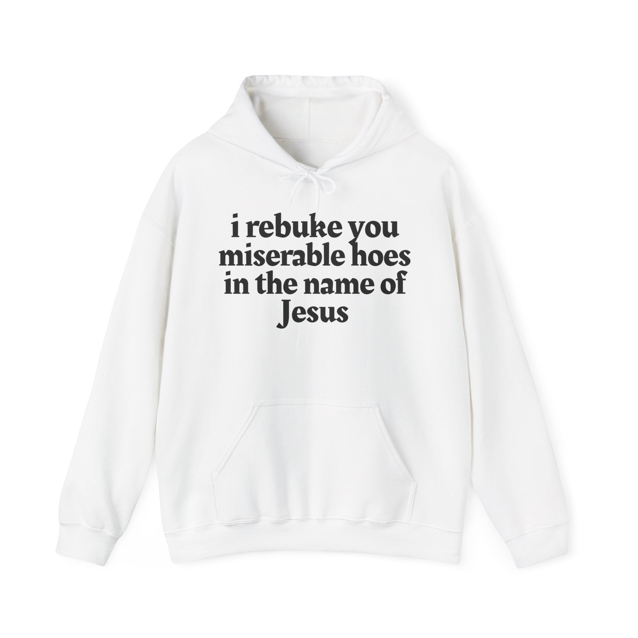 I Rebuke You Miserable Hoes in the Name of Jesus — Humorous Religious Hoodie