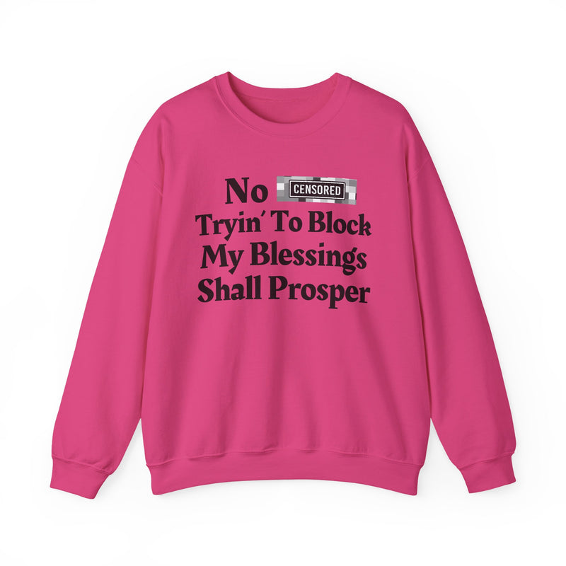 No Bitch Tryin' To Block My Blessings Shall Prosper — Sweatshirt