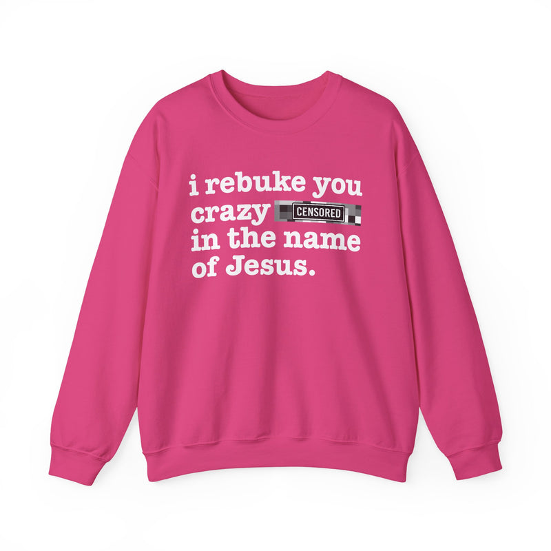 Heliconia sweatshirt with white lettering reading I REBUKE YOU CRAZY BITCHES IN THE NAME OF JESUS, front view.