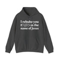 I rebuke you Bitches in the name of Jesus - Sarcastic Christian Hoodie