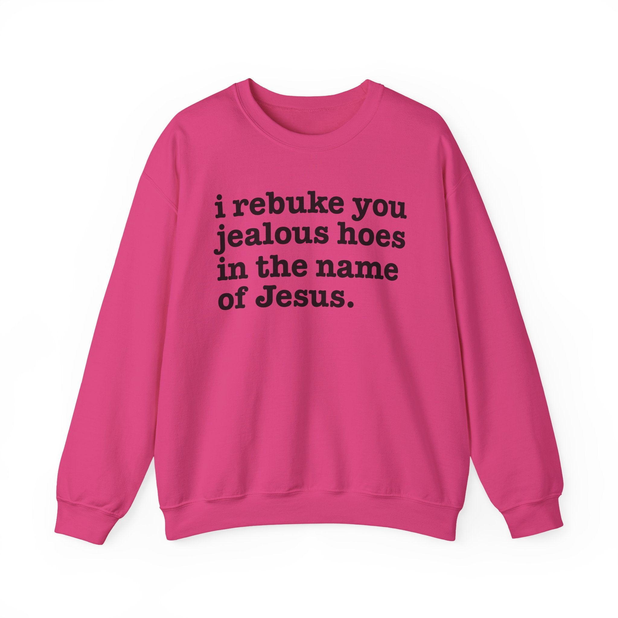 I Rebuke You Jealous Hoes in the Name of Jesus — Christian Humor Sweatshirt