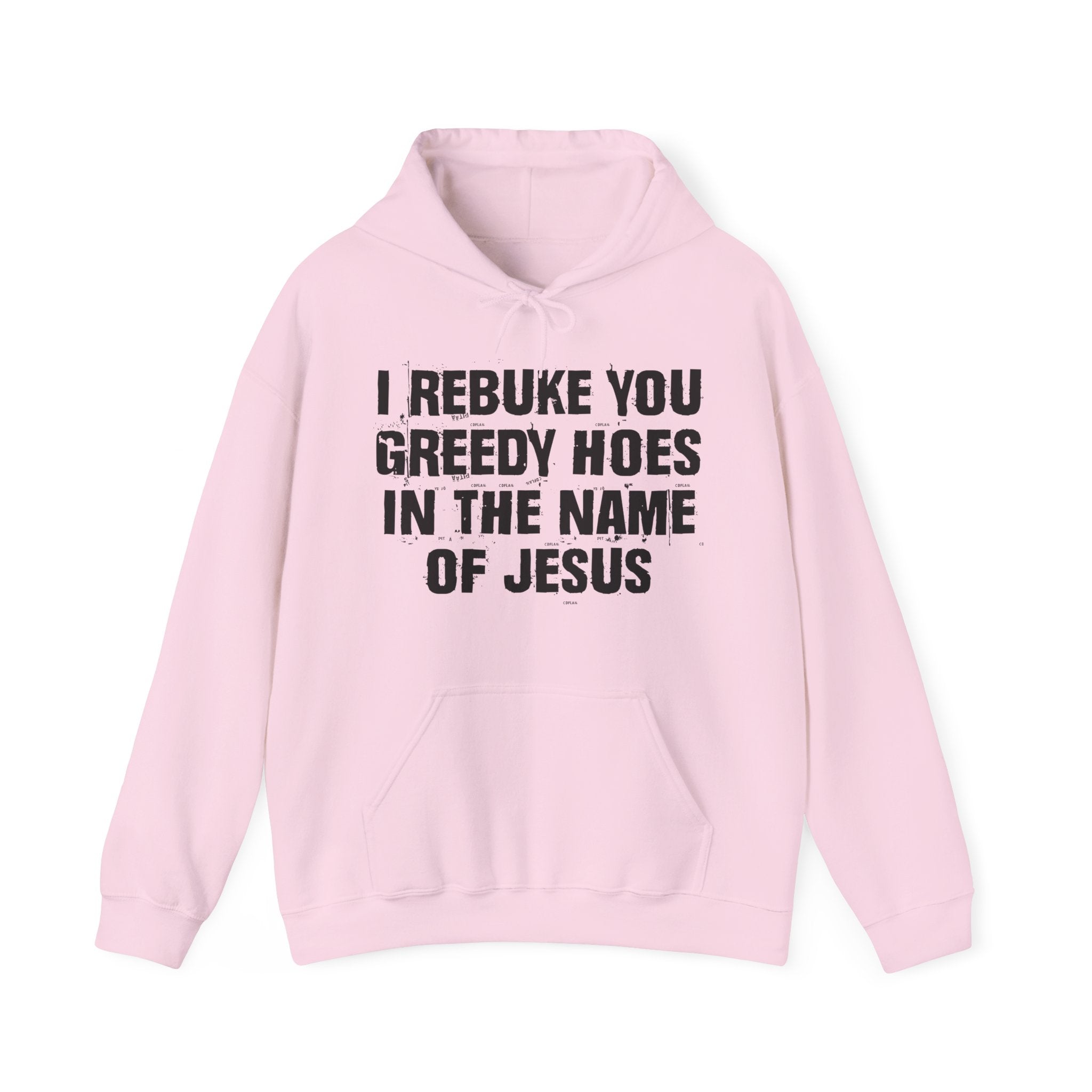 I Rebuke You Greedy Hoes in the Name of Jesus — Humorous Religious Hoodie