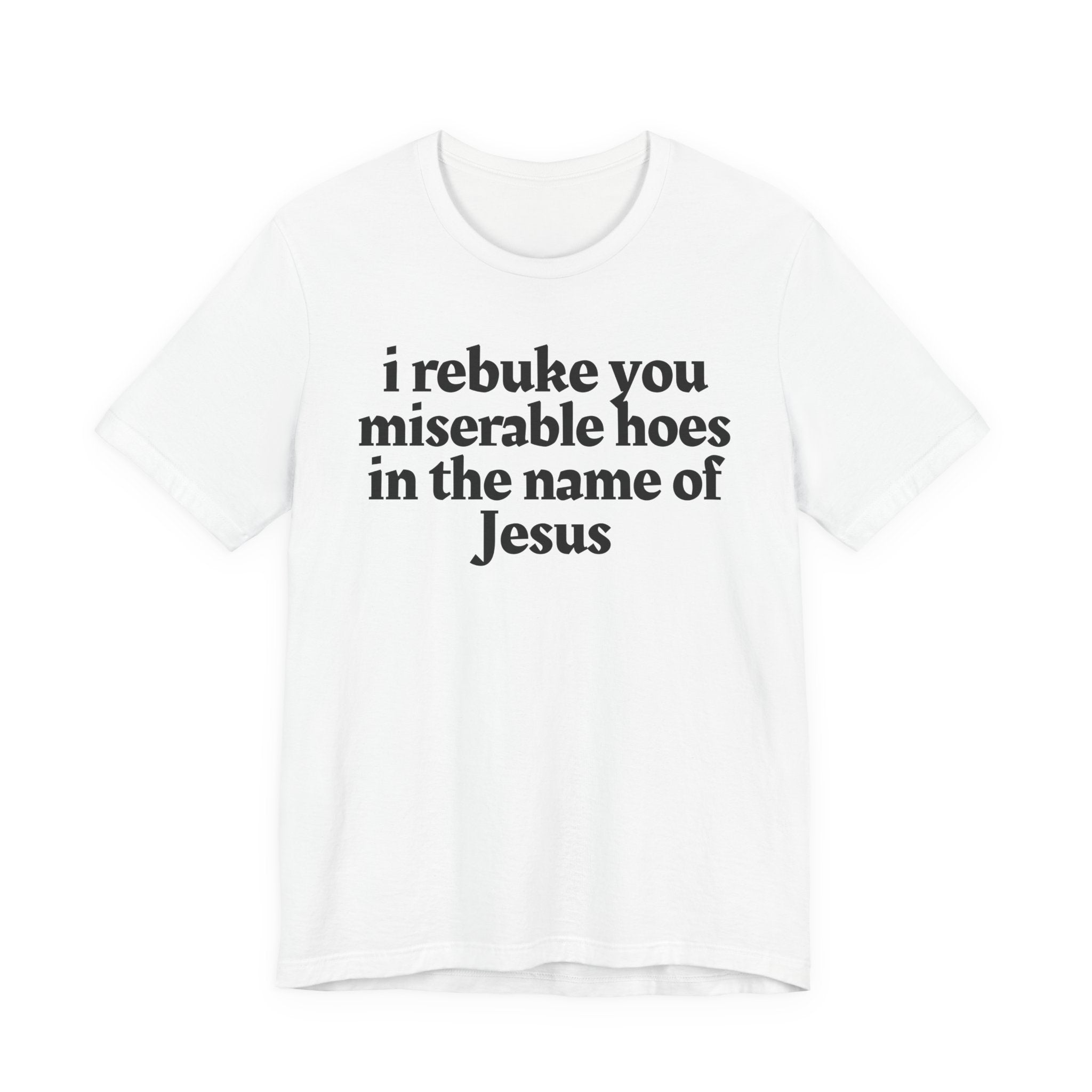 I Rebuke You Miserable Hoes in the Name of Jesus — Christian Humor T-Shirt