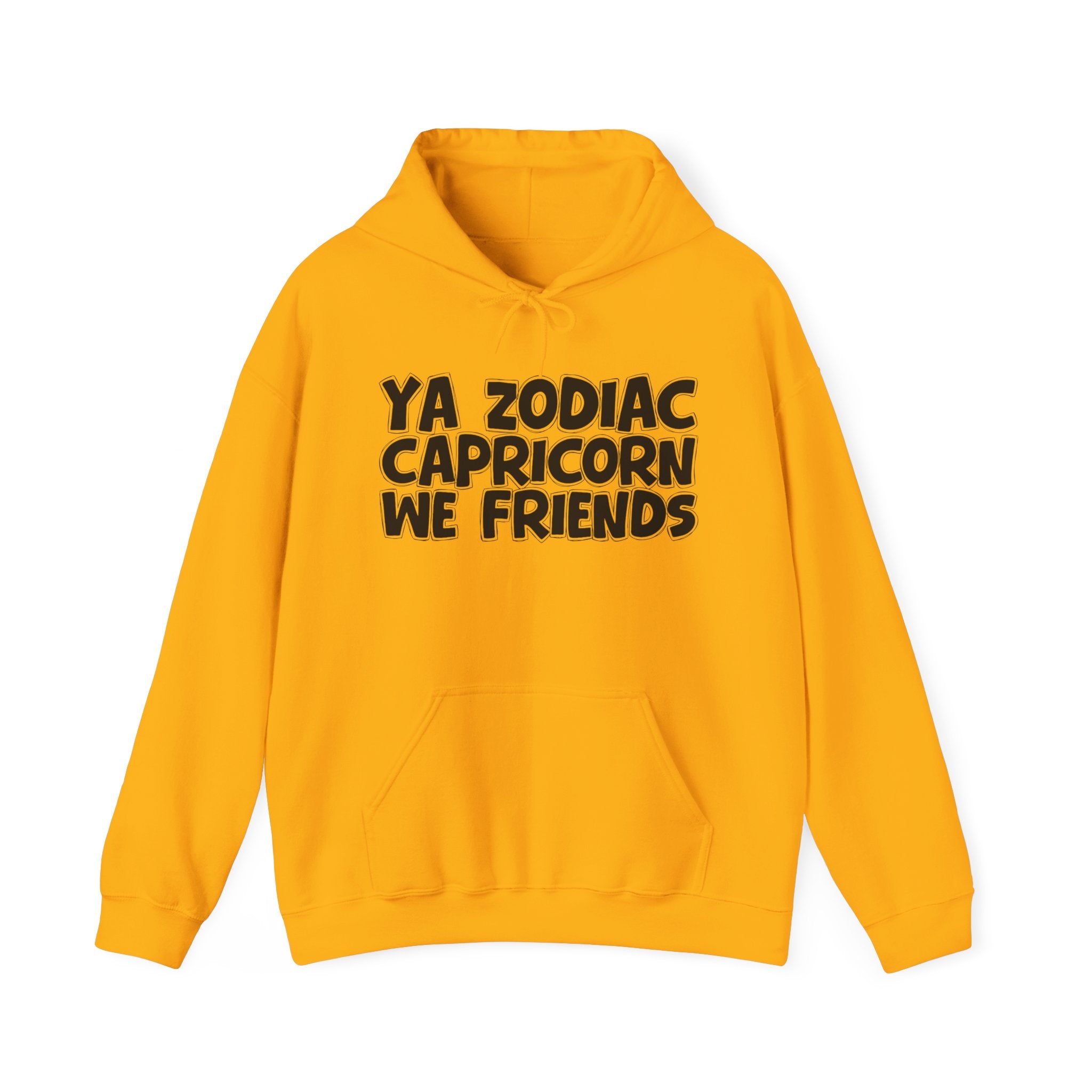 Ya Zodiac Capricorn We Friends - Fun Astrology Hoodie Gift