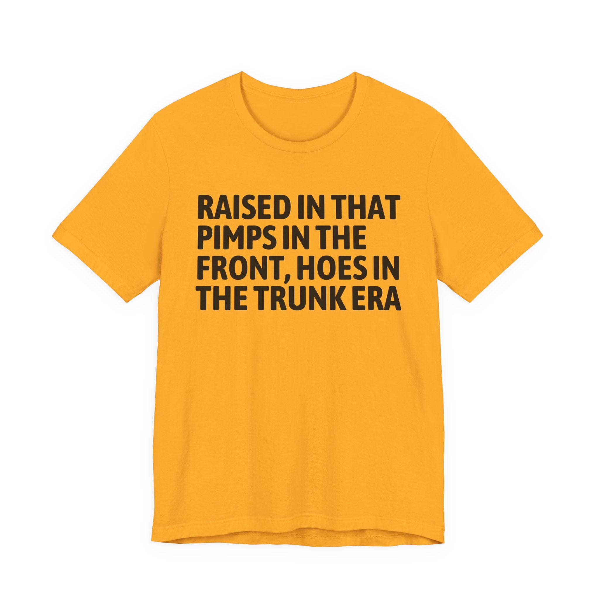 Raised In That Pimps In The Front Hoes In The Trunk Era - Funny Back In The Day Statement Tee Shirt