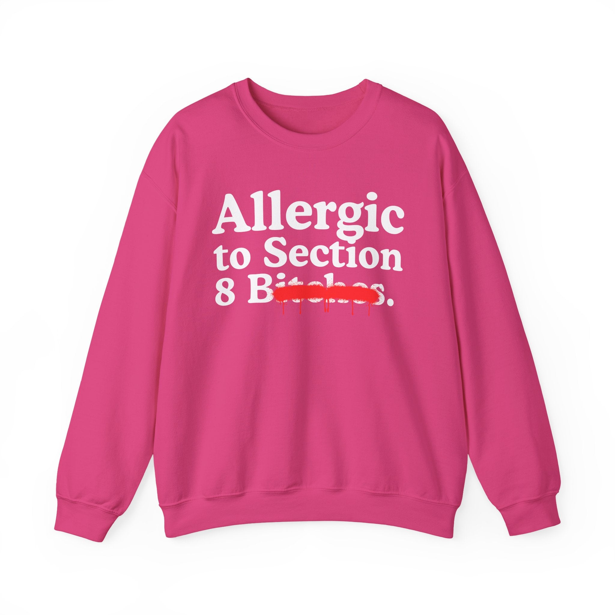 Allergic To Section 8 Bitches — Sarcastic Sassy Statement Sweatshirt