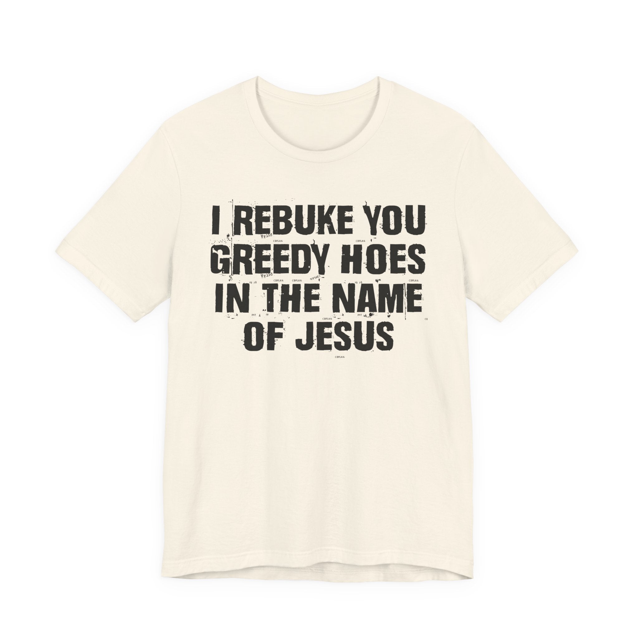 I Rebuke You Greedy Hoes in the Name of Jesus — Christian Humor T-Shirt