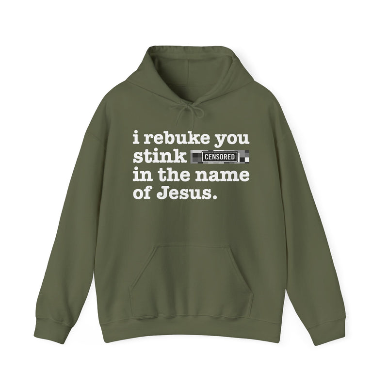 Hoodie with text design reading “I REBUKE YOU STINK BITCHES IN THE NAME OF JESUS”, front view