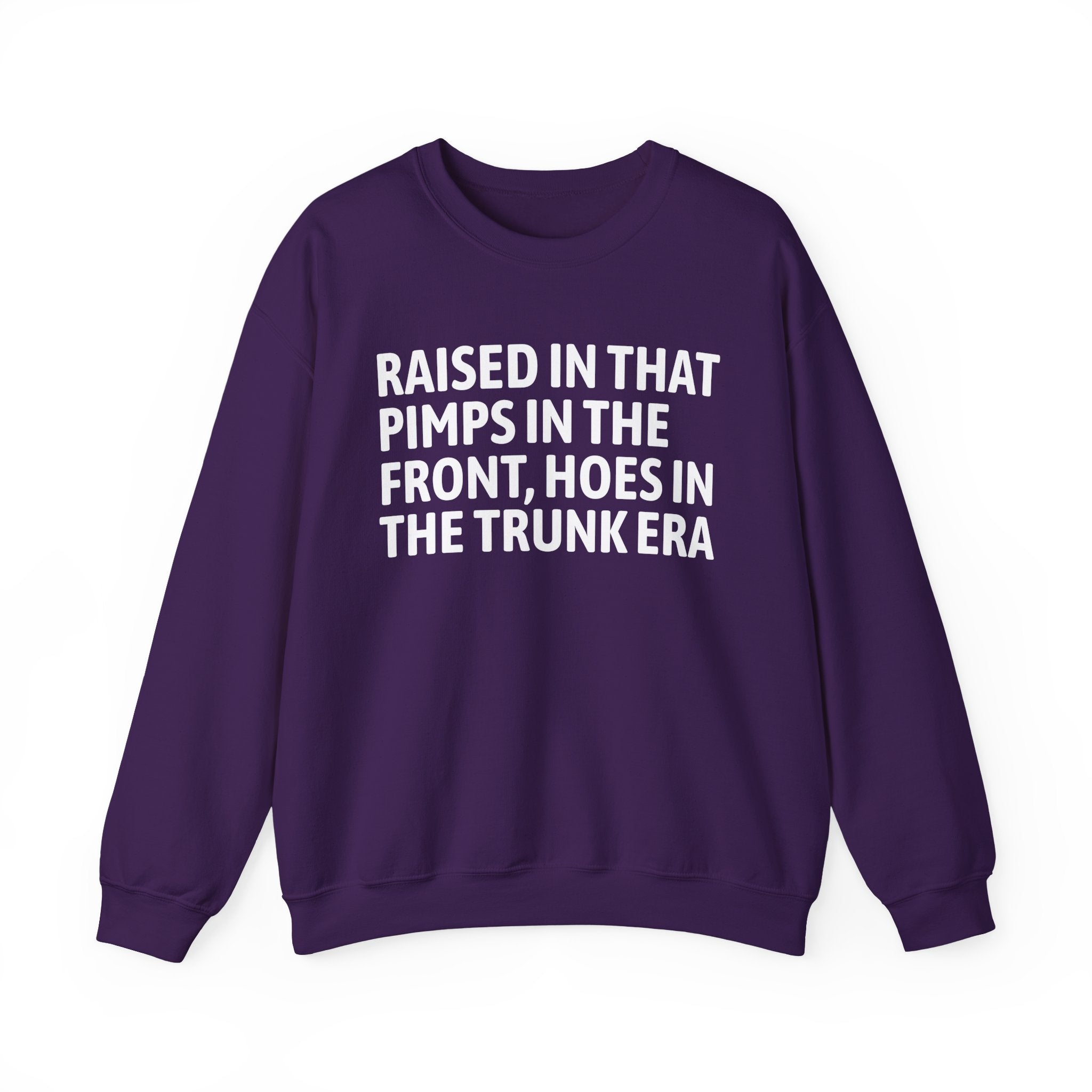 Raised In That Pimps In The Front Hoes In The Trunk Era - Funny Back In The Day Statement Sweatshirt