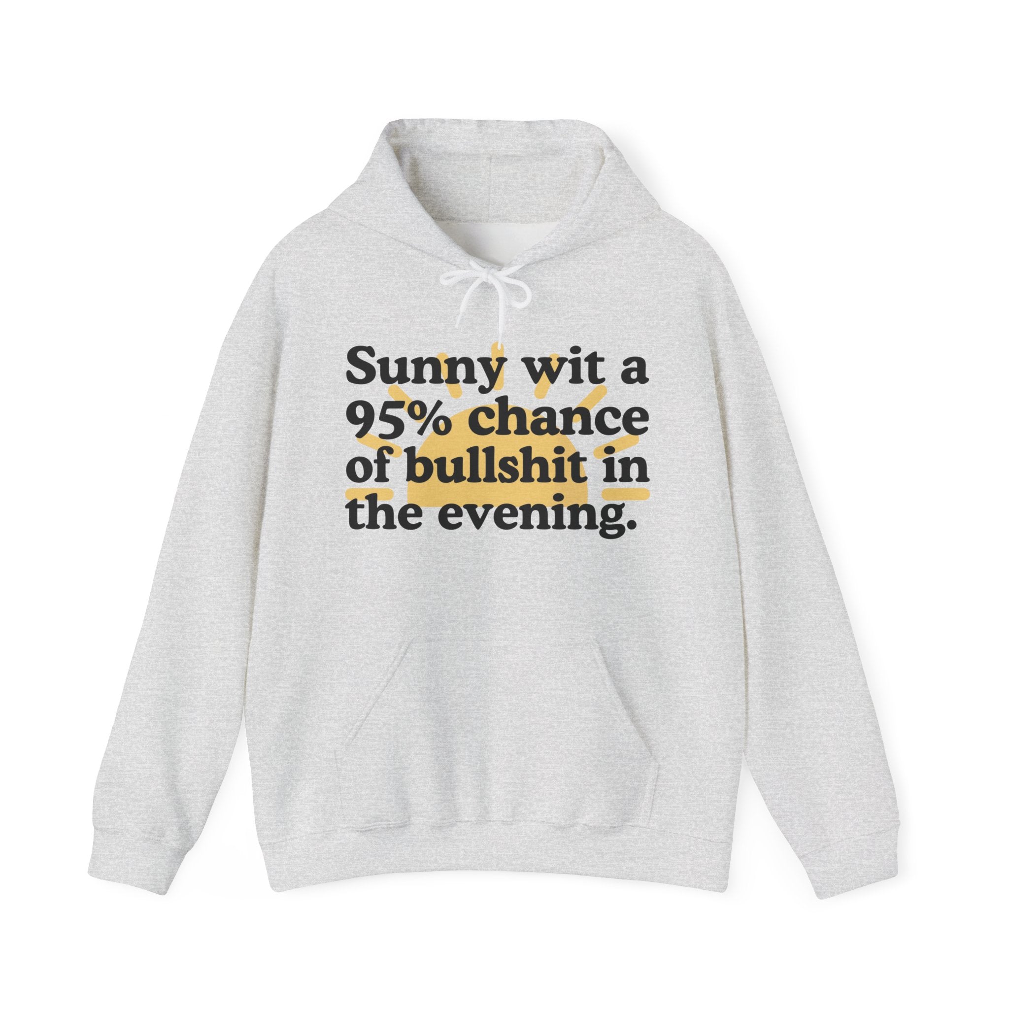 Sunny wit a 95% chance of bullshit in the evening —  Funny Weather Forecast Hoodie