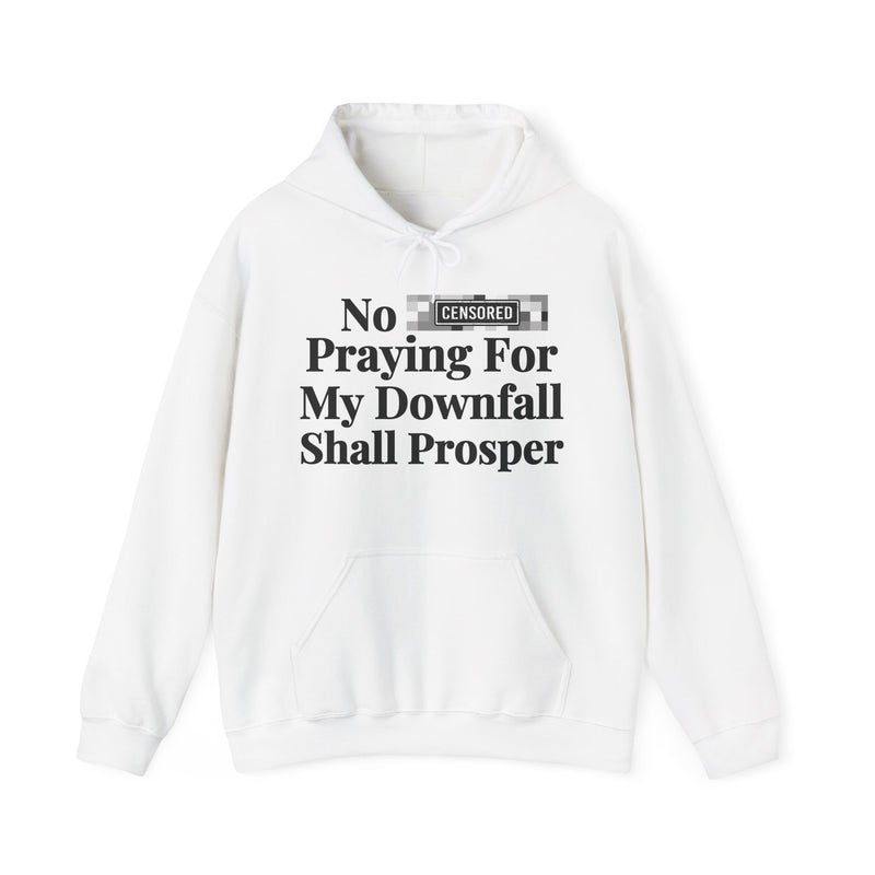 No Bitch Praying For My Downfall Shall Prosper — Hoodie