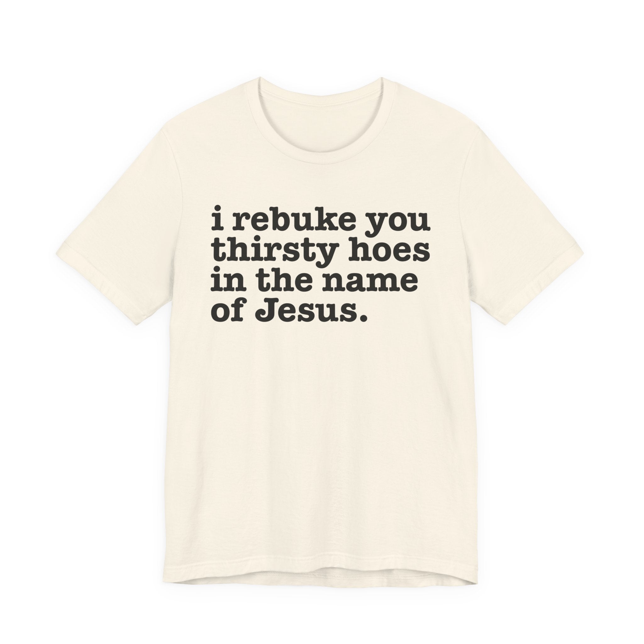 I Rebuke You Thirsty Hoes in the Name of Jesus — Christian Humor T-Shirt