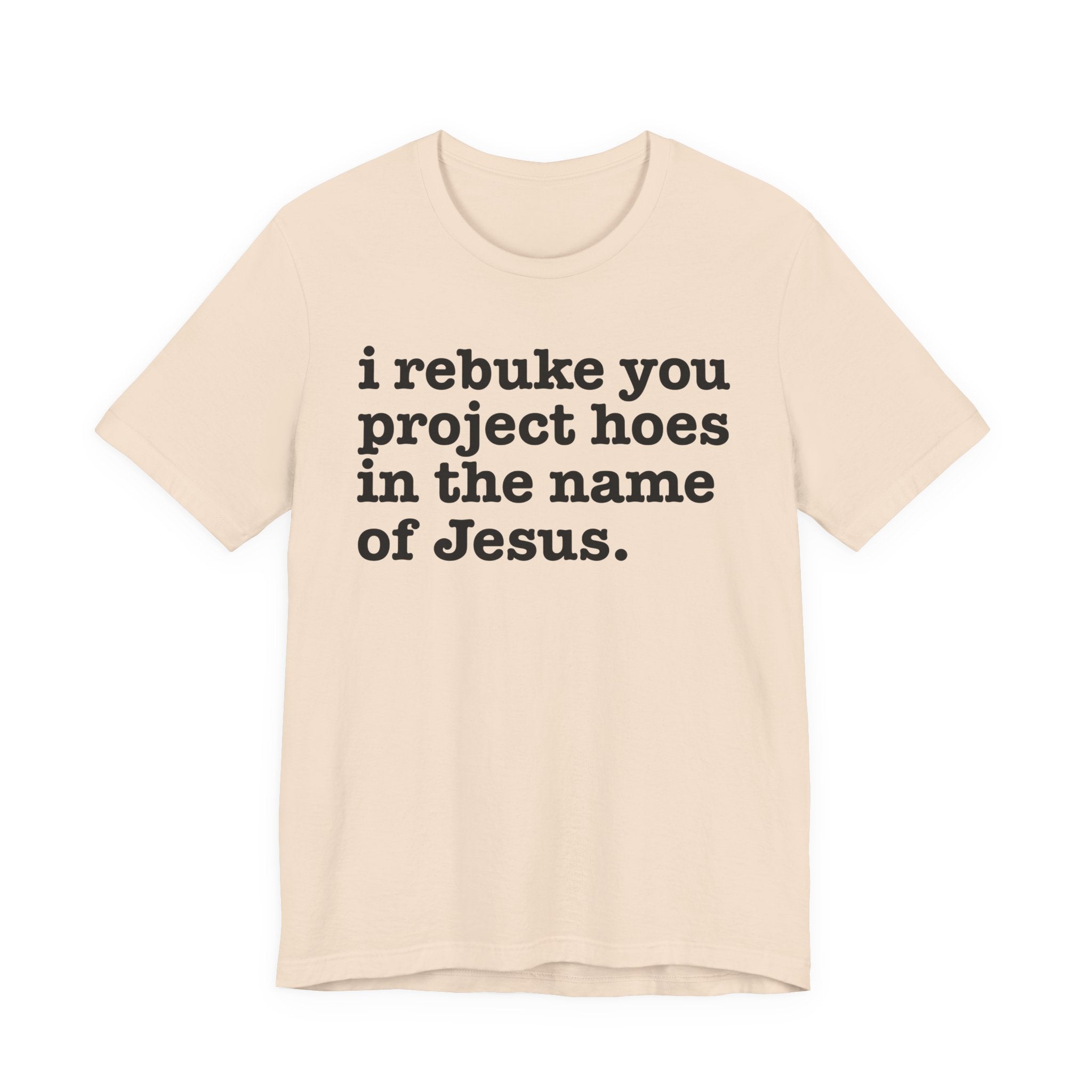 I Rebuke You Project Hoes in the Name of Jesus — Christian Humor T-Shirt