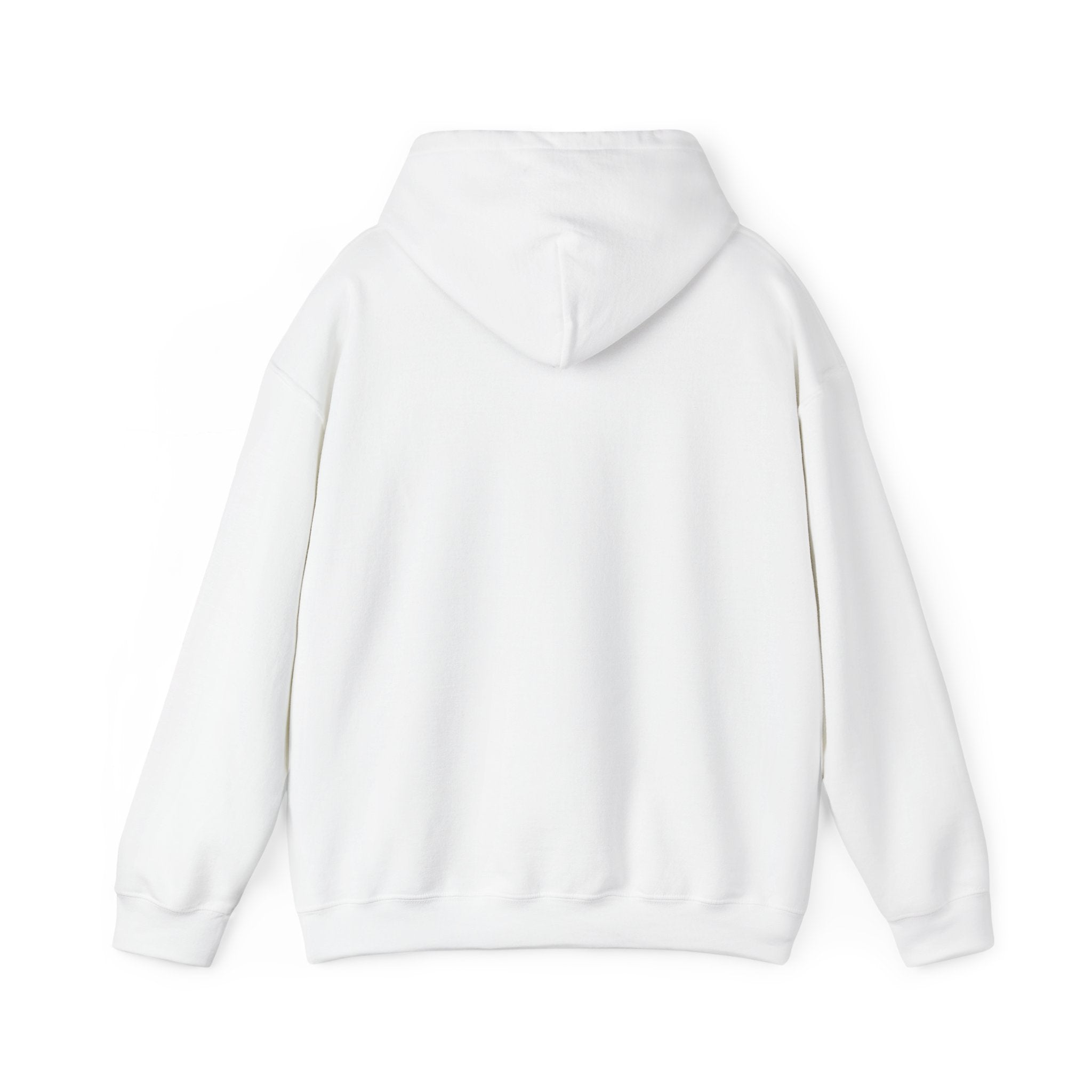 I Don't Fuck Wit Ratchet Bitches - Funny Sassy Statement Hoodie