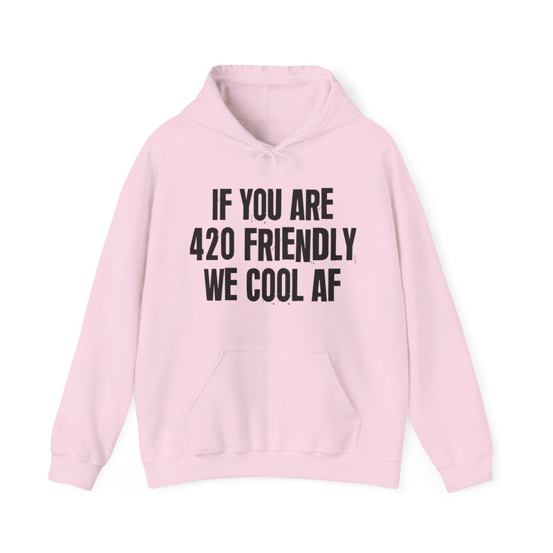 If You Are 420 Friendly We Cool AF - Hoodie