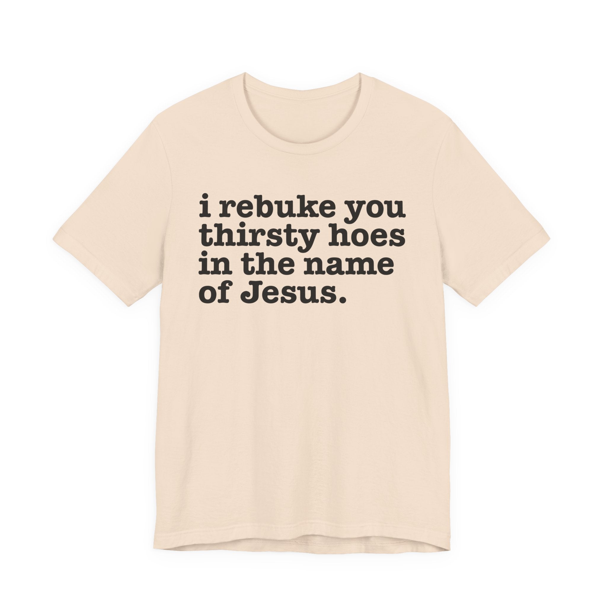 I Rebuke You Thirsty Hoes in the Name of Jesus — Christian Humor T-Shirt