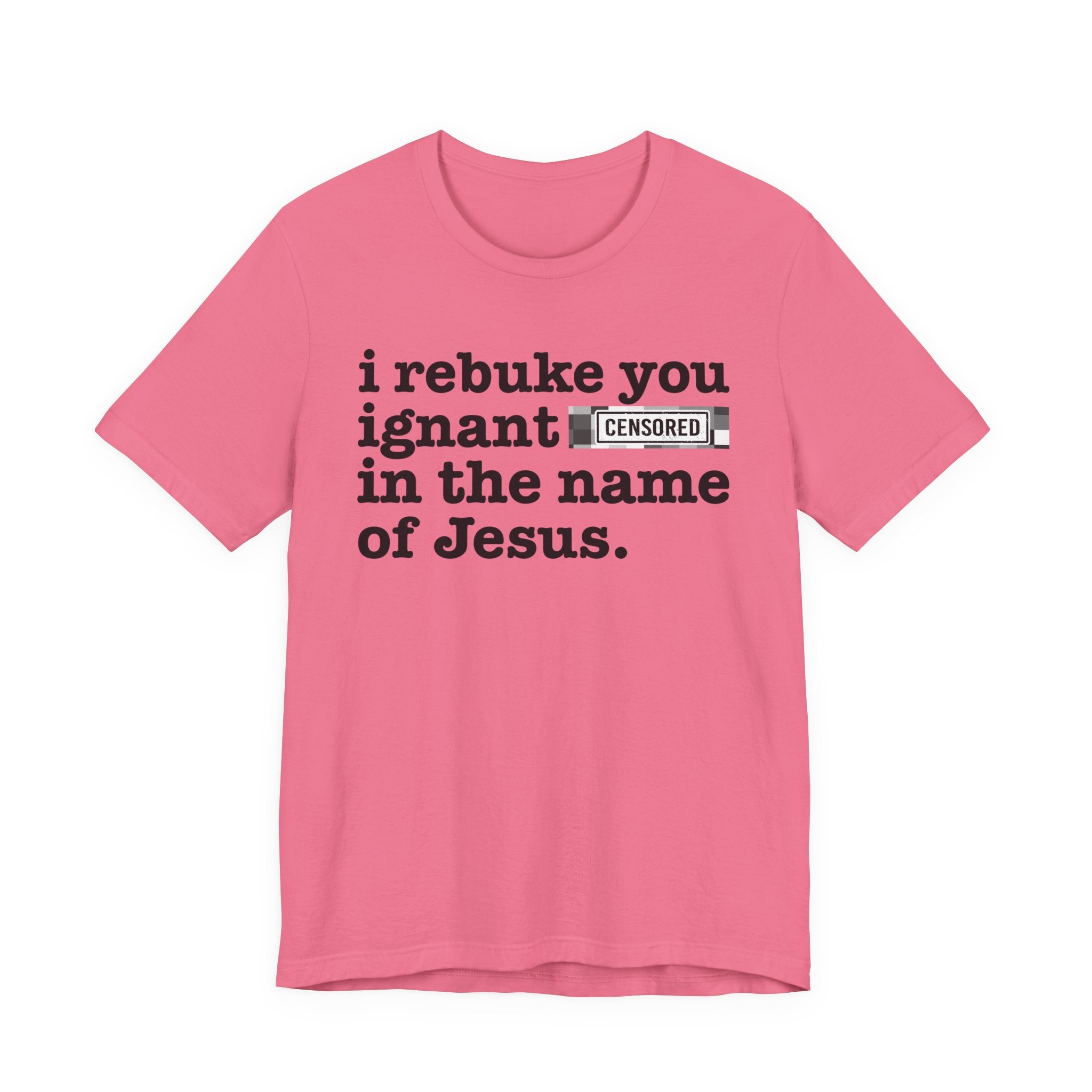 I rebuke you Bitches in the name of Jesus — Provocative Christian Faith T-Shirt