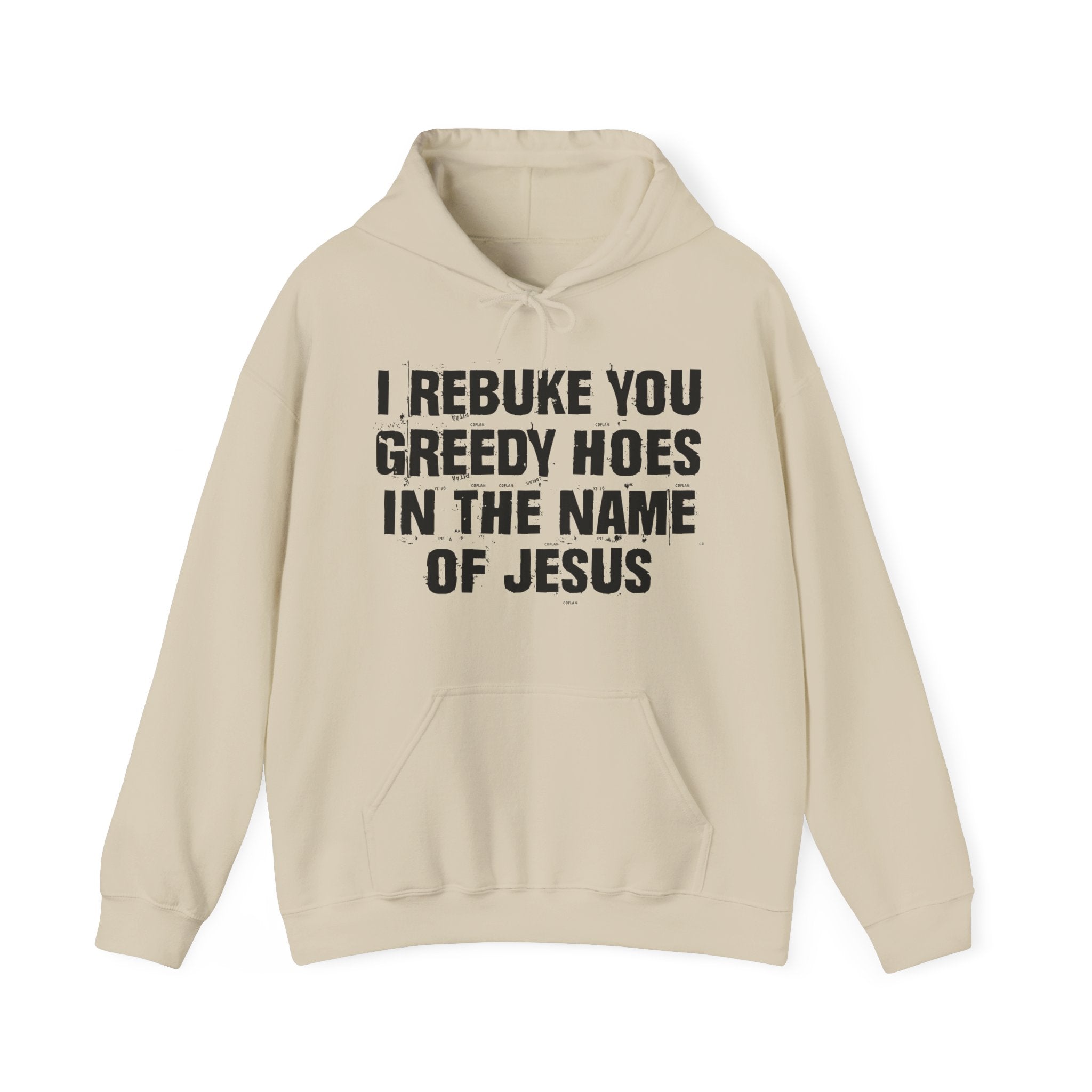 I Rebuke You Greedy Hoes in the Name of Jesus — Humorous Religious Hoodie