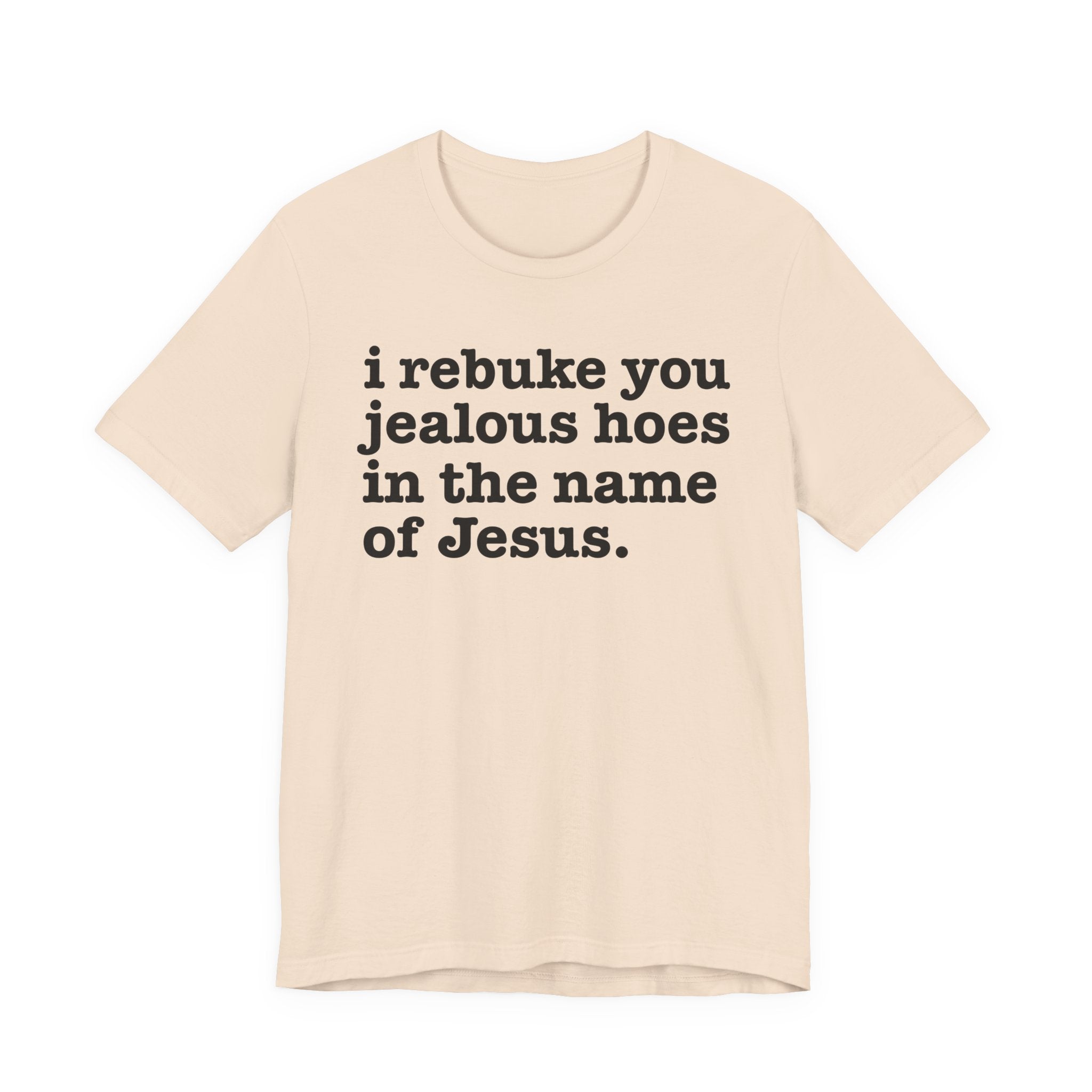 I Rebuke You Jealous Hoes in the Name of Jesus — Christian Humor T-Shirt
