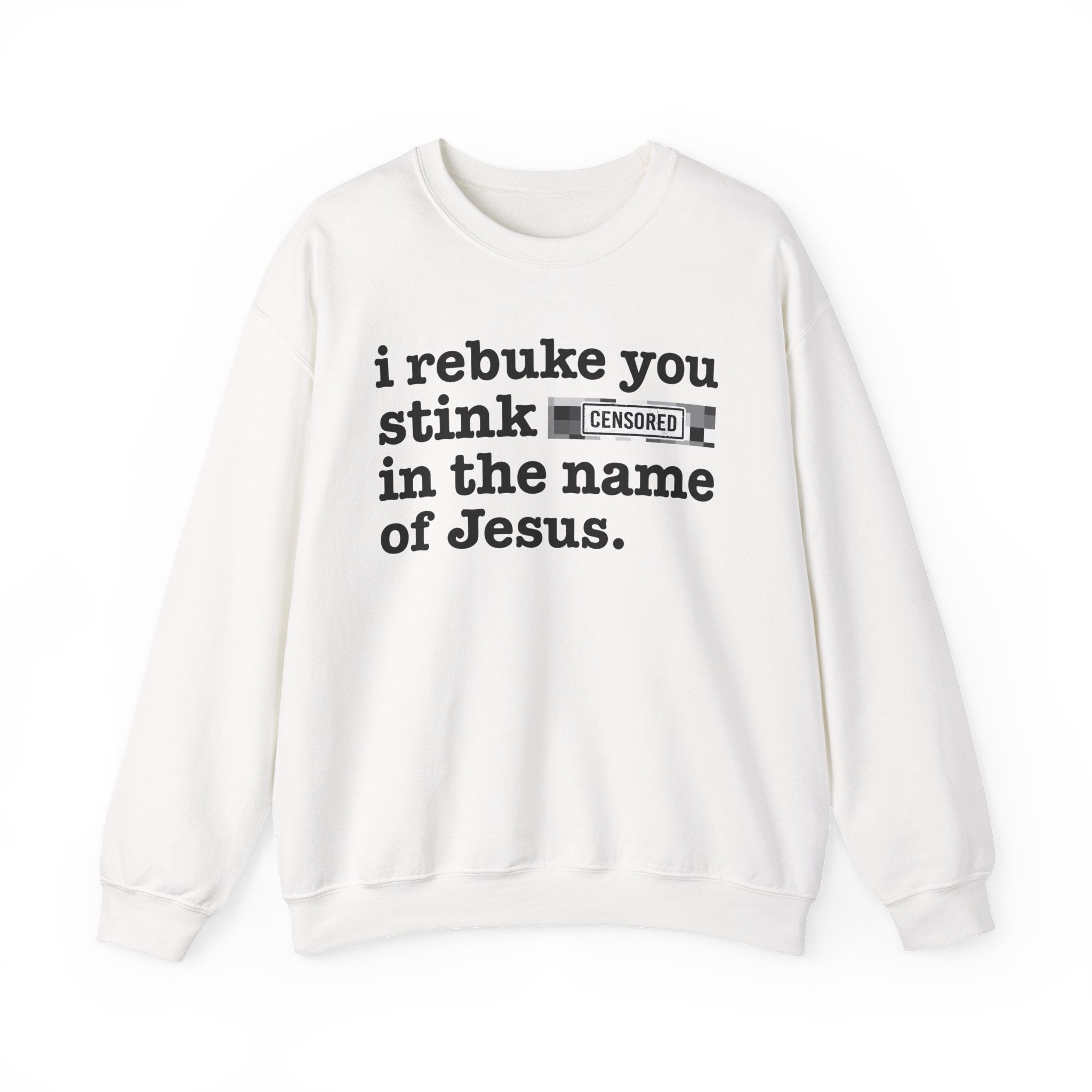 I rebuke you Stink Bitches in the name of Jesus — Provocative Christian Sweatshirt