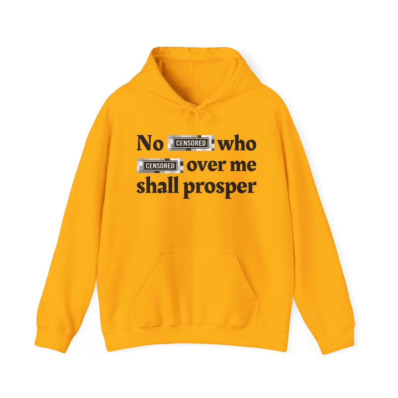 No Bitch Who Fuck Over Me Shall Prosper — Hoodie