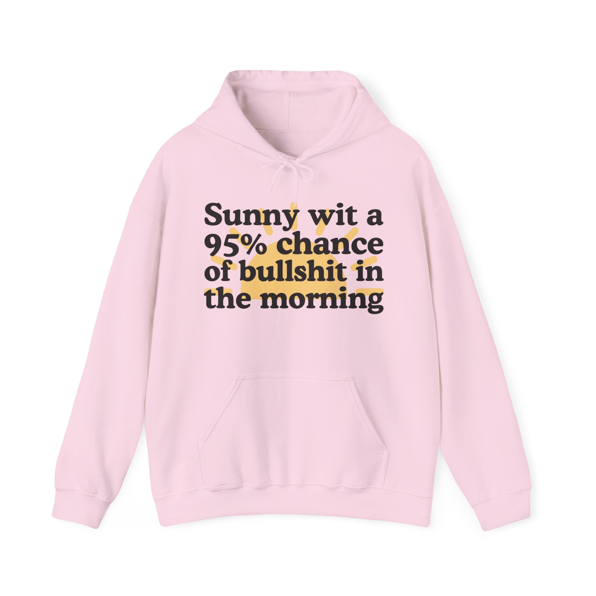 Sunny wit a 95% chance of bullshit in the Morning —  Funny Weather Forecast Hoodie
