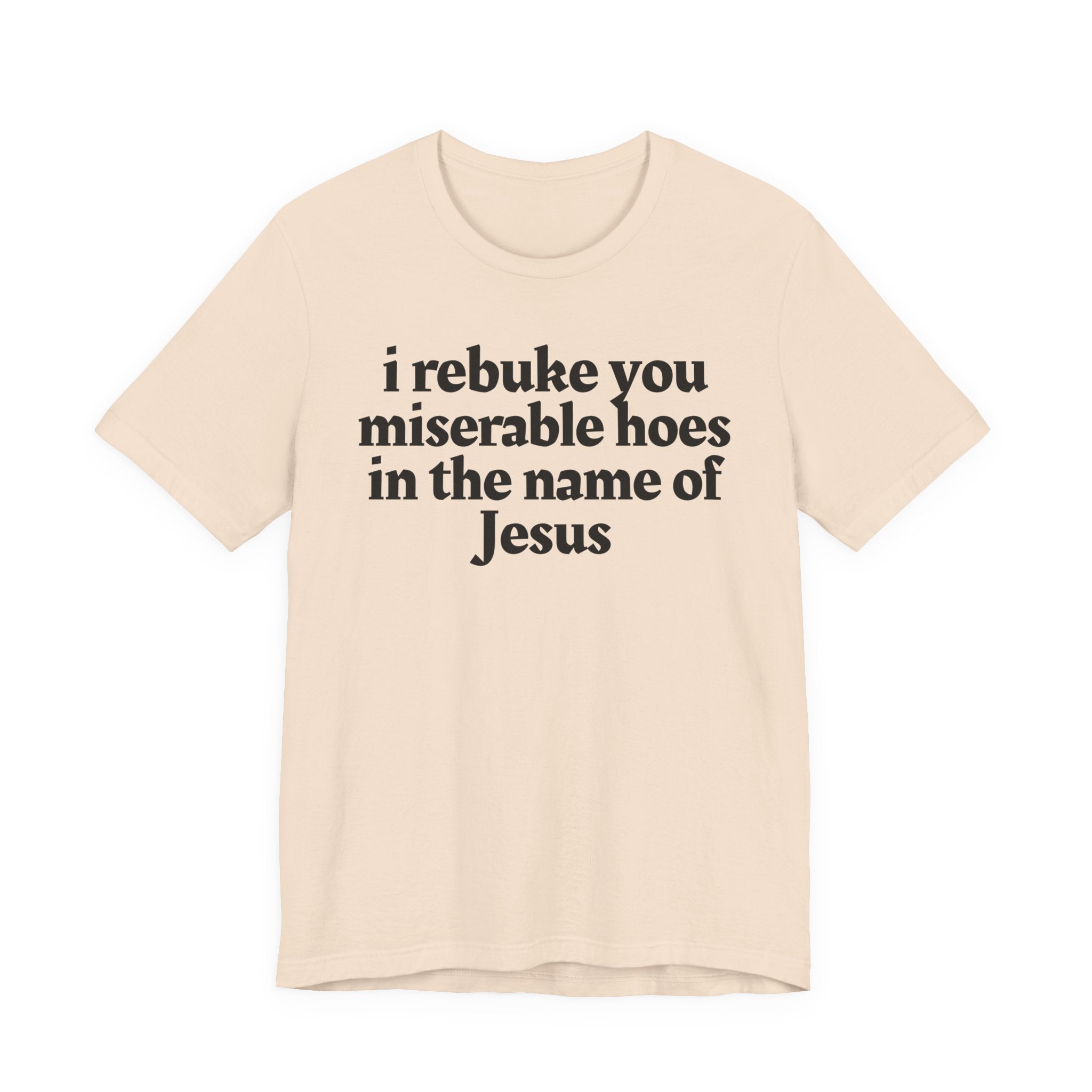 I Rebuke You Miserable Hoes in the Name of Jesus — Christian Humor T-Shirt