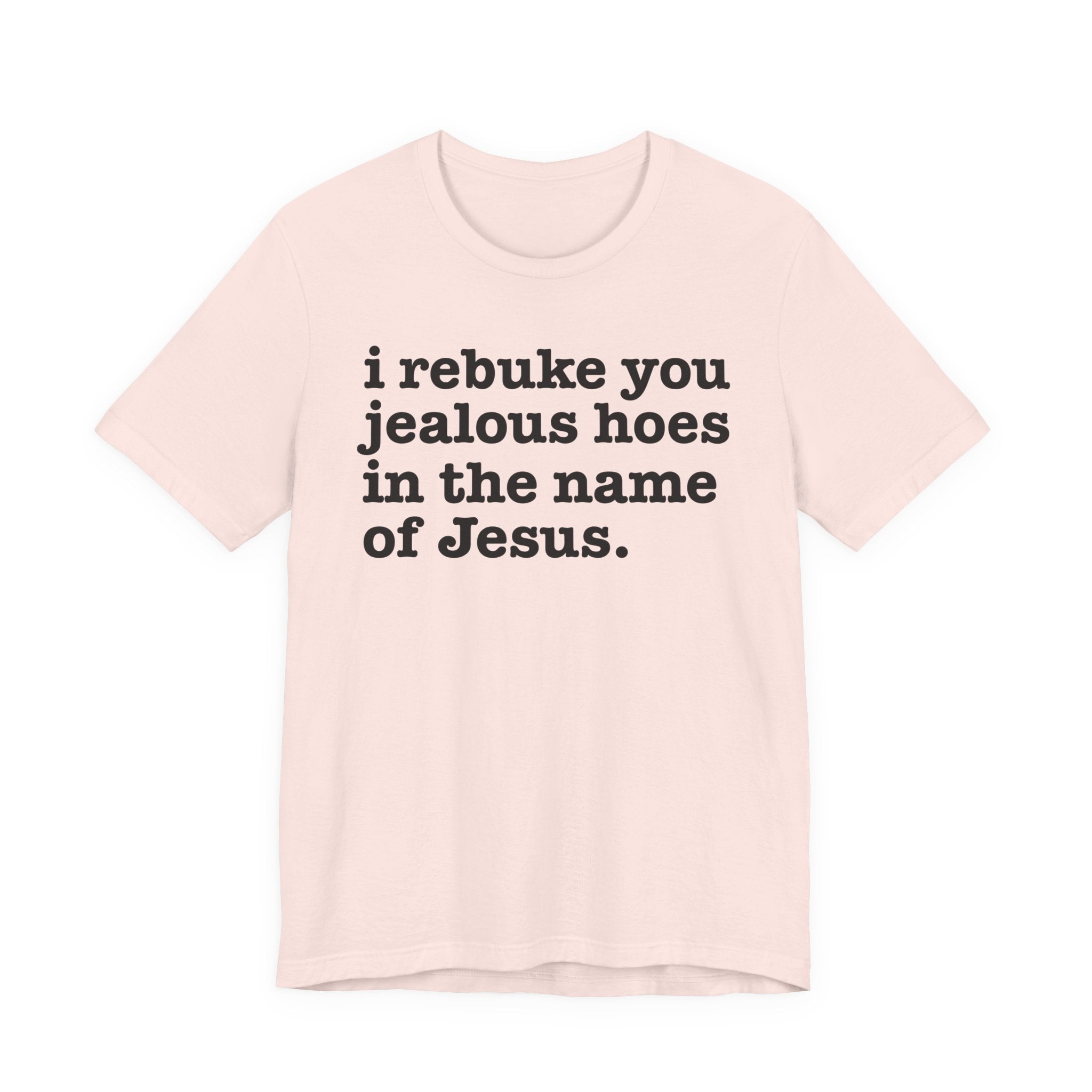 I Rebuke You Jealous Hoes in the Name of Jesus — Christian Humor T-Shirt