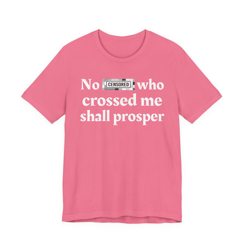 No Bitch Who Crossed Me Shall Prosper — T-Shirt