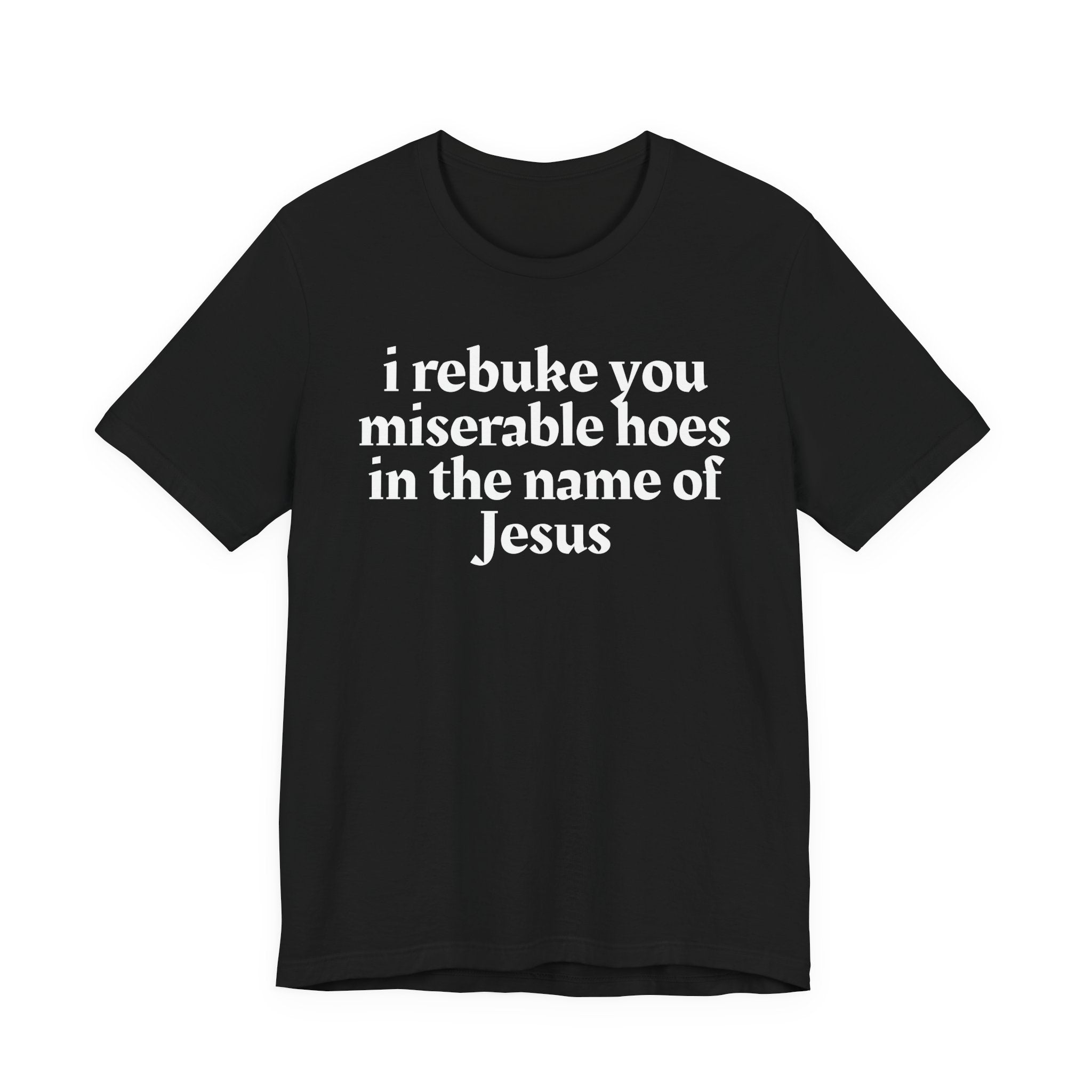 I Rebuke You Miserable Hoes in the Name of Jesus — Christian Humor T-Shirt